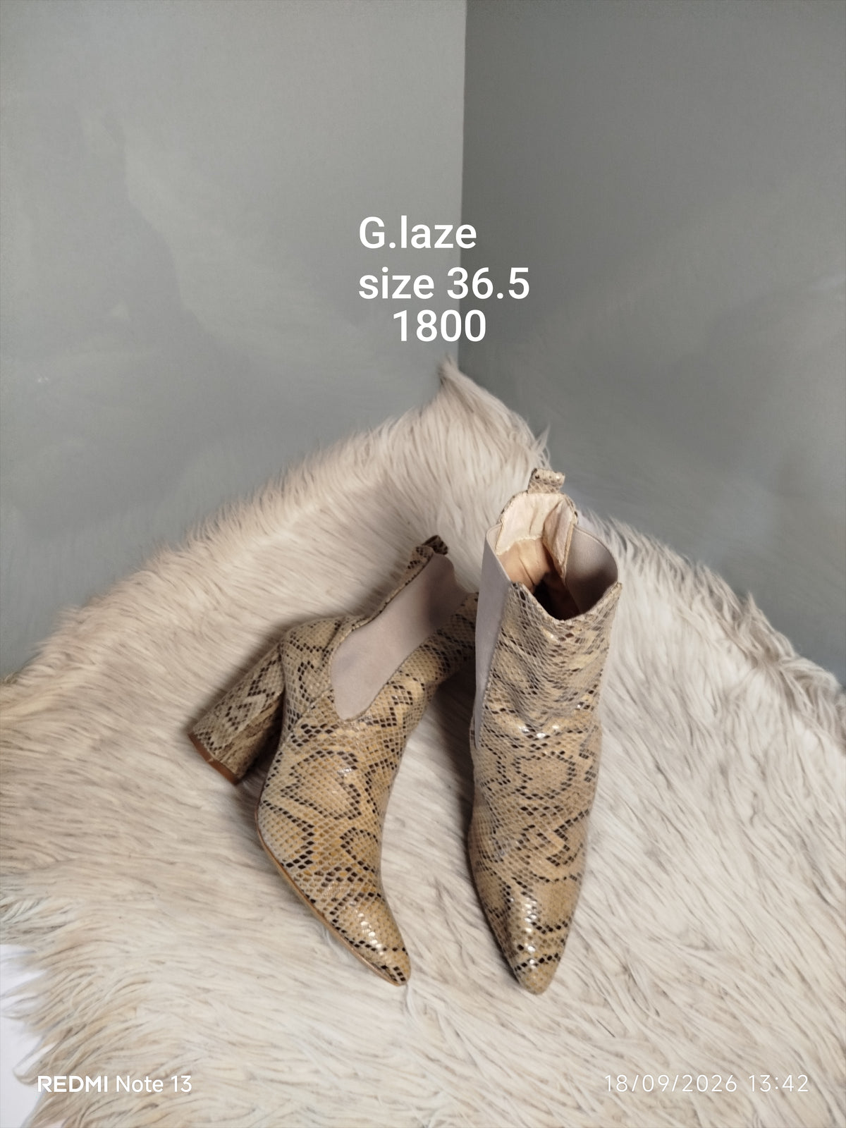 Glaze 36.5