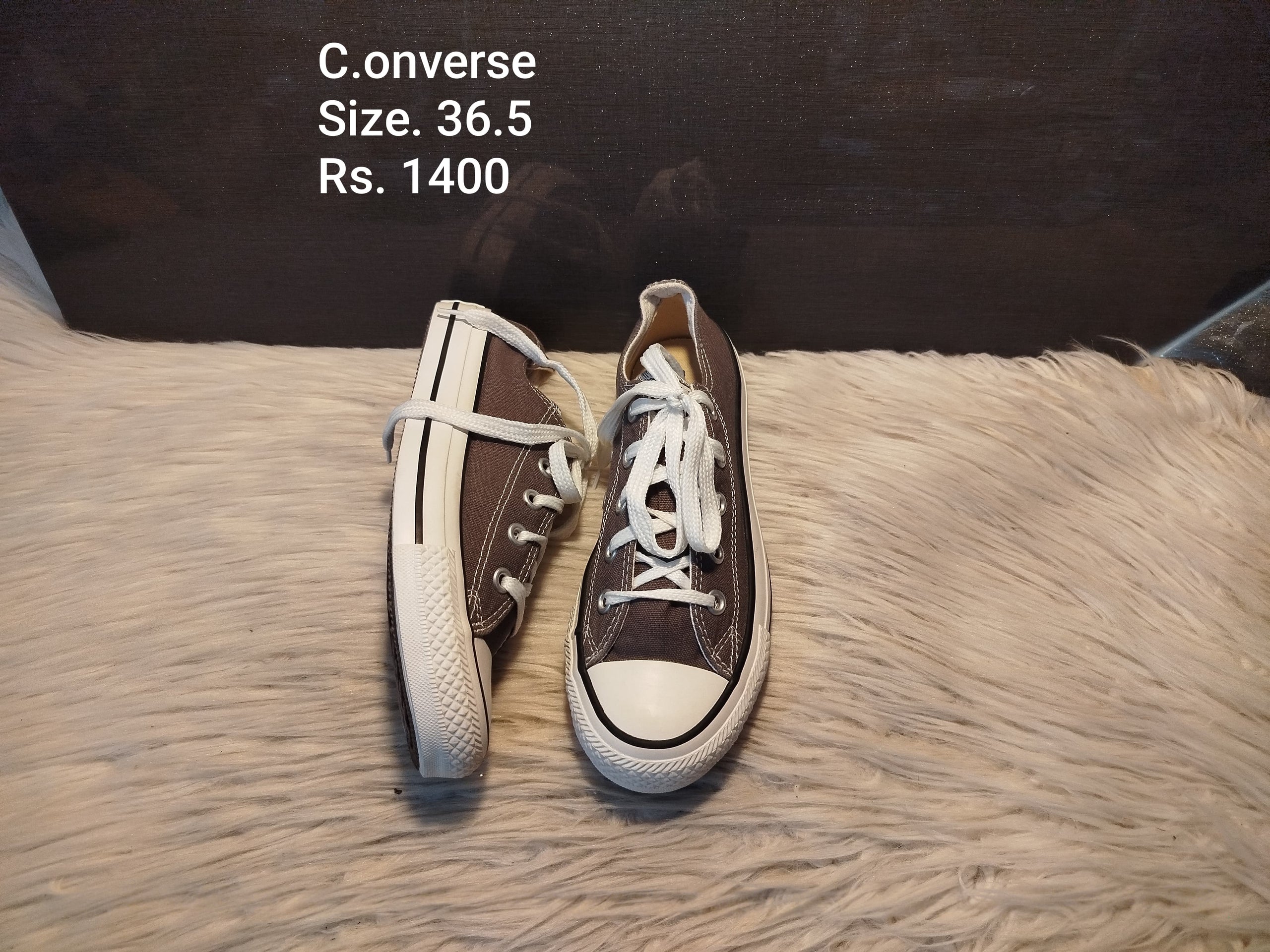 Converse 36.5