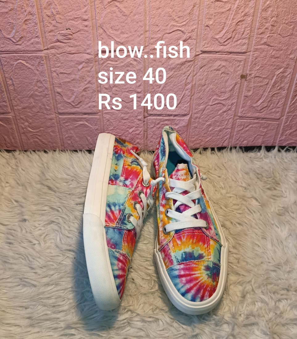 Blow fish 40