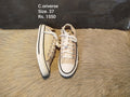 Converse 37