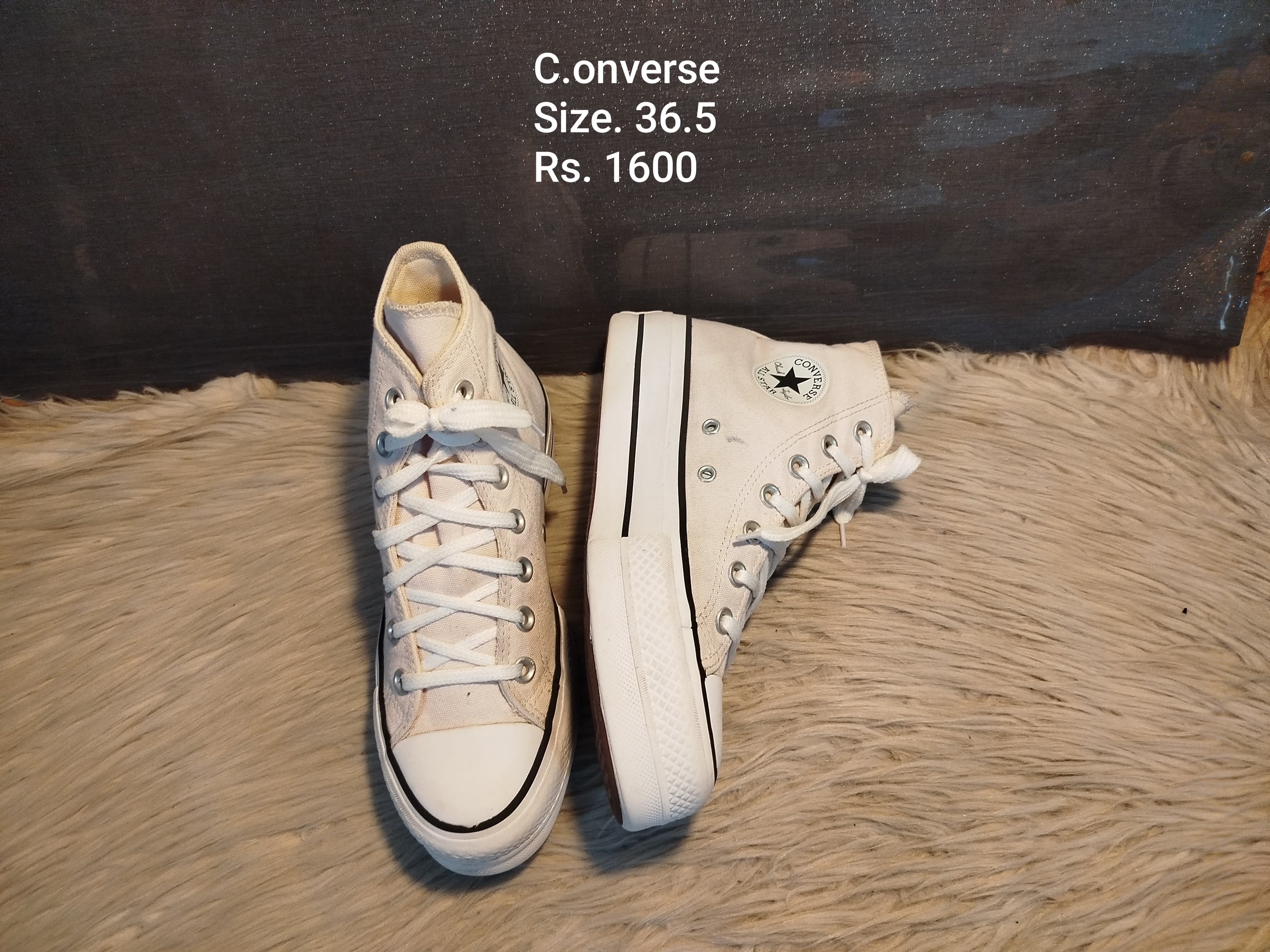 Converse 36.5