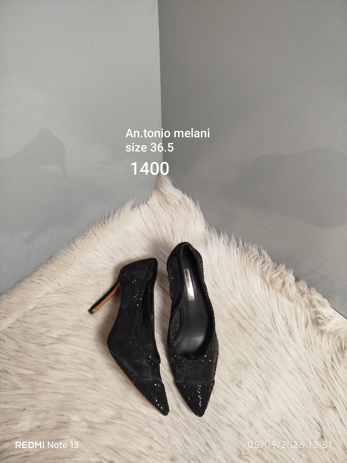 Antonio Melani 36.5