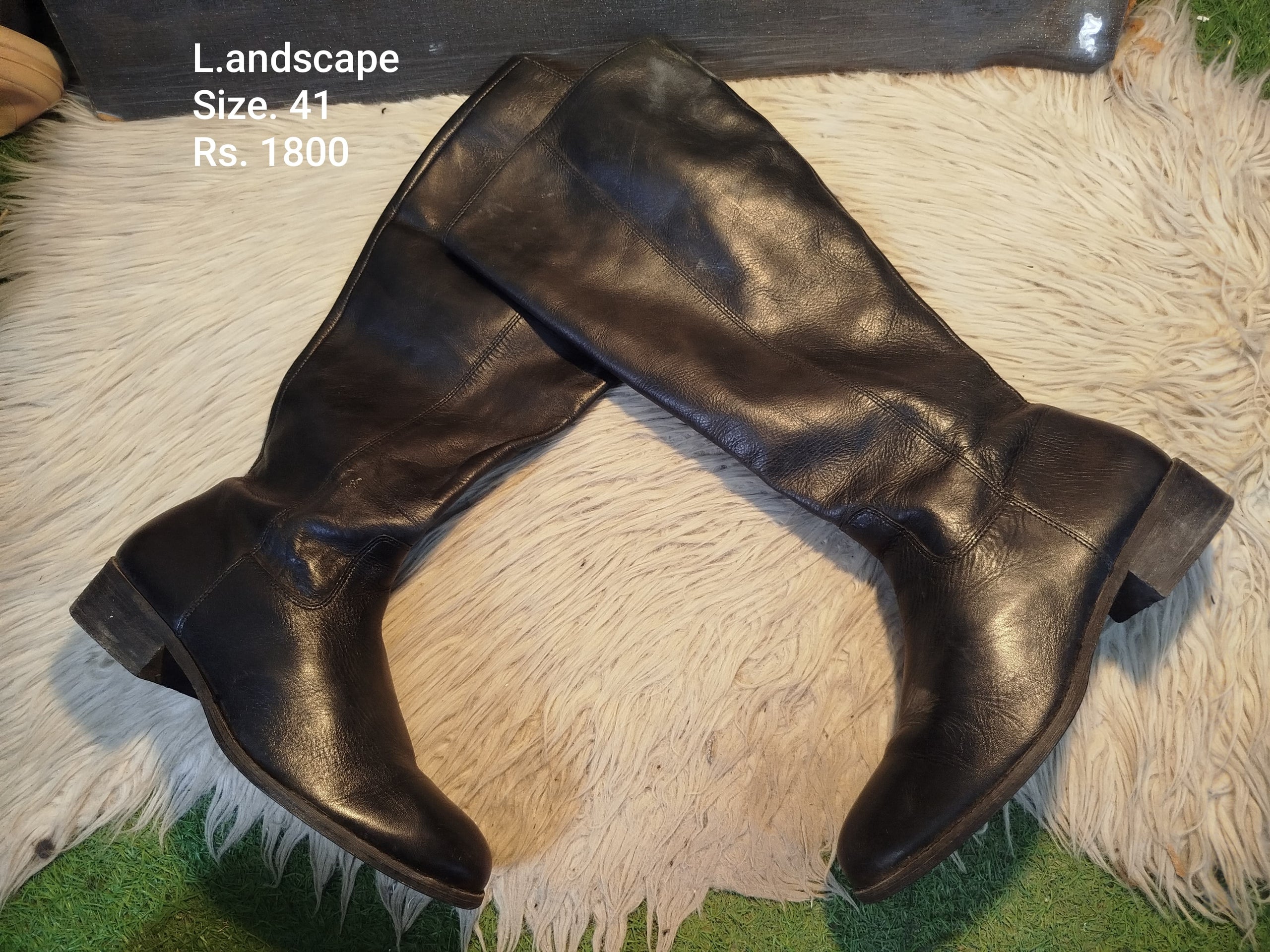 Landscape 41