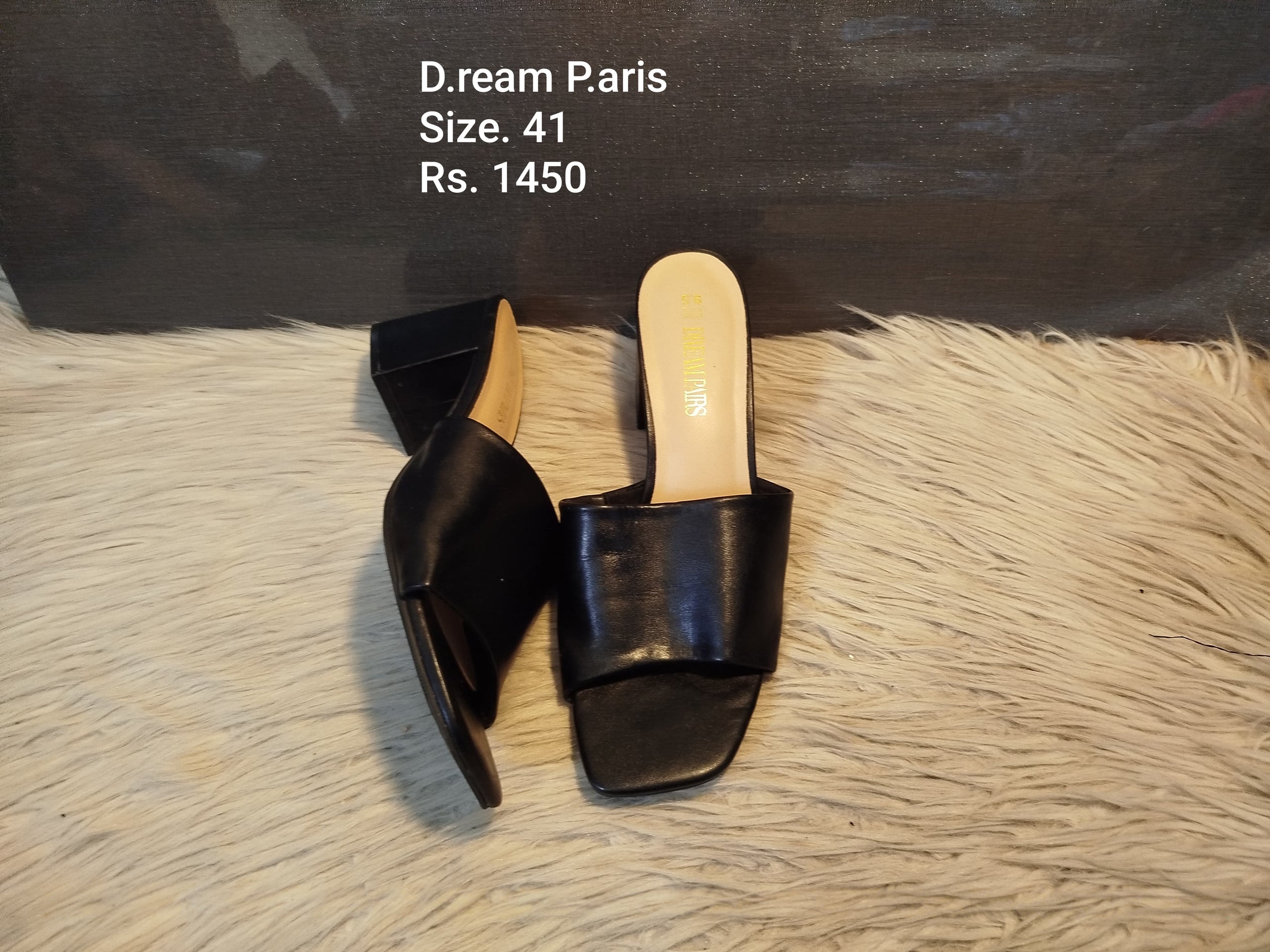Dream Paris 41