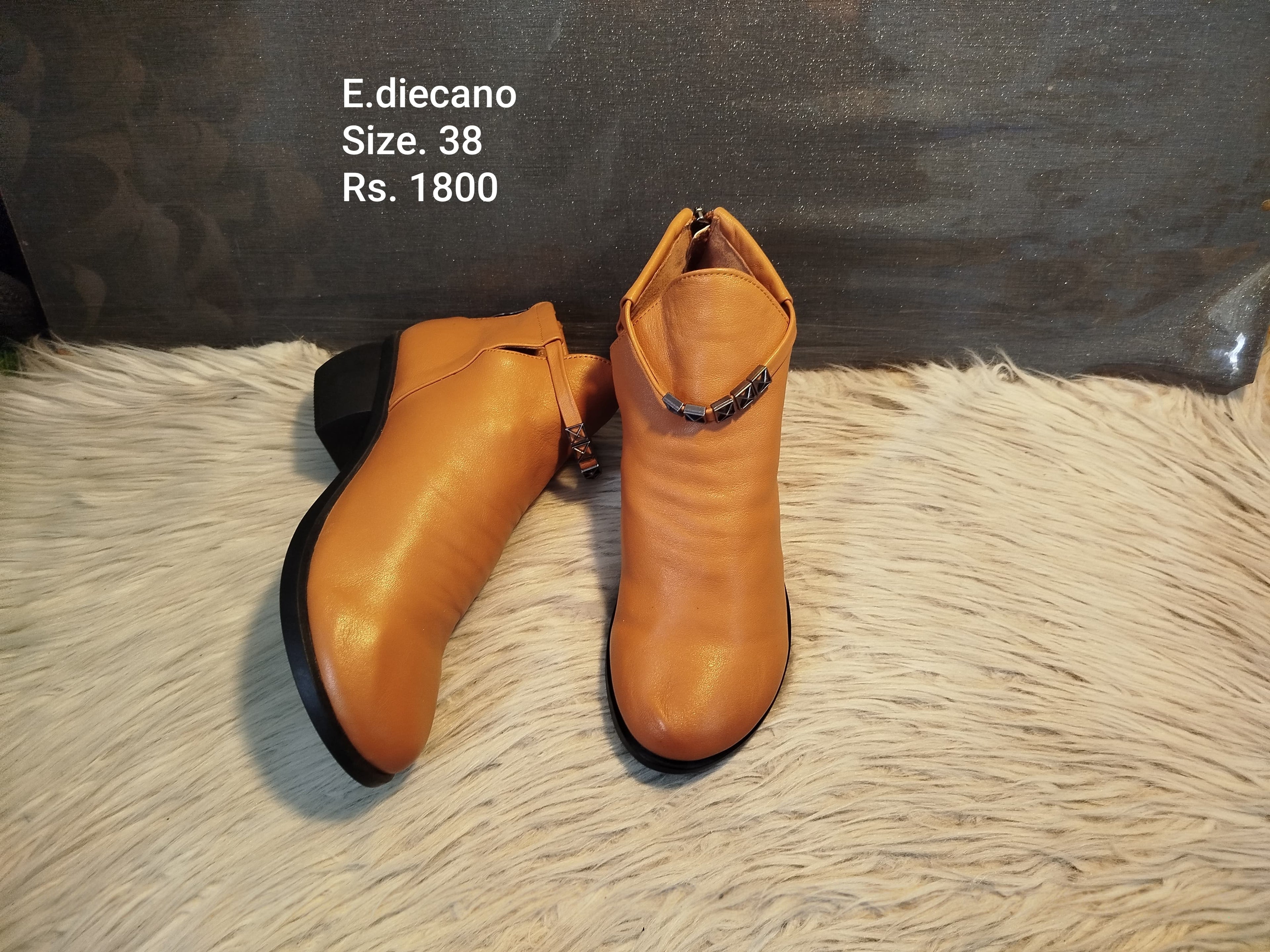 Ediecano 38