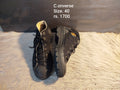 Converse 40