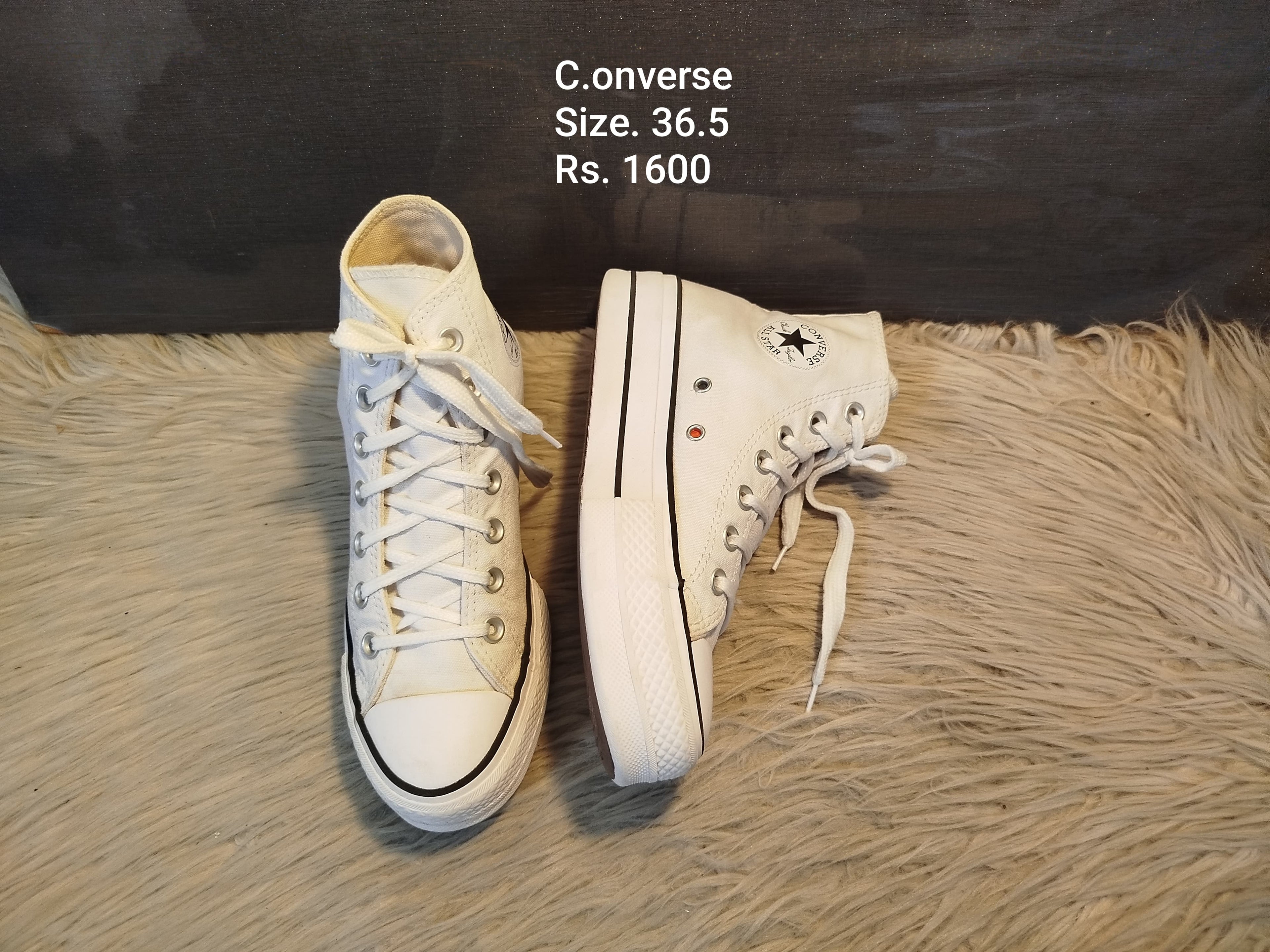 Converse 36.5