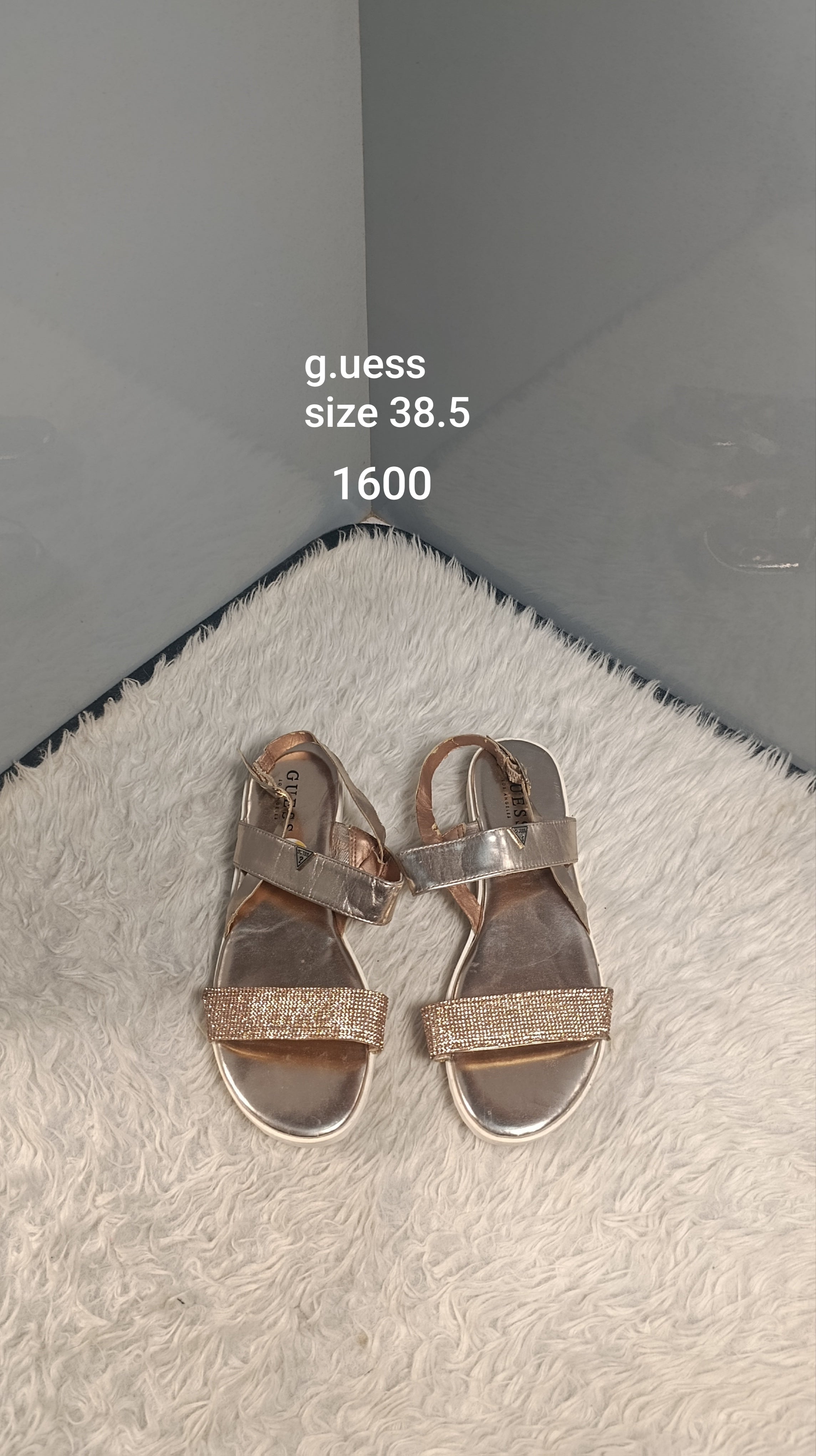 Guess 38.5