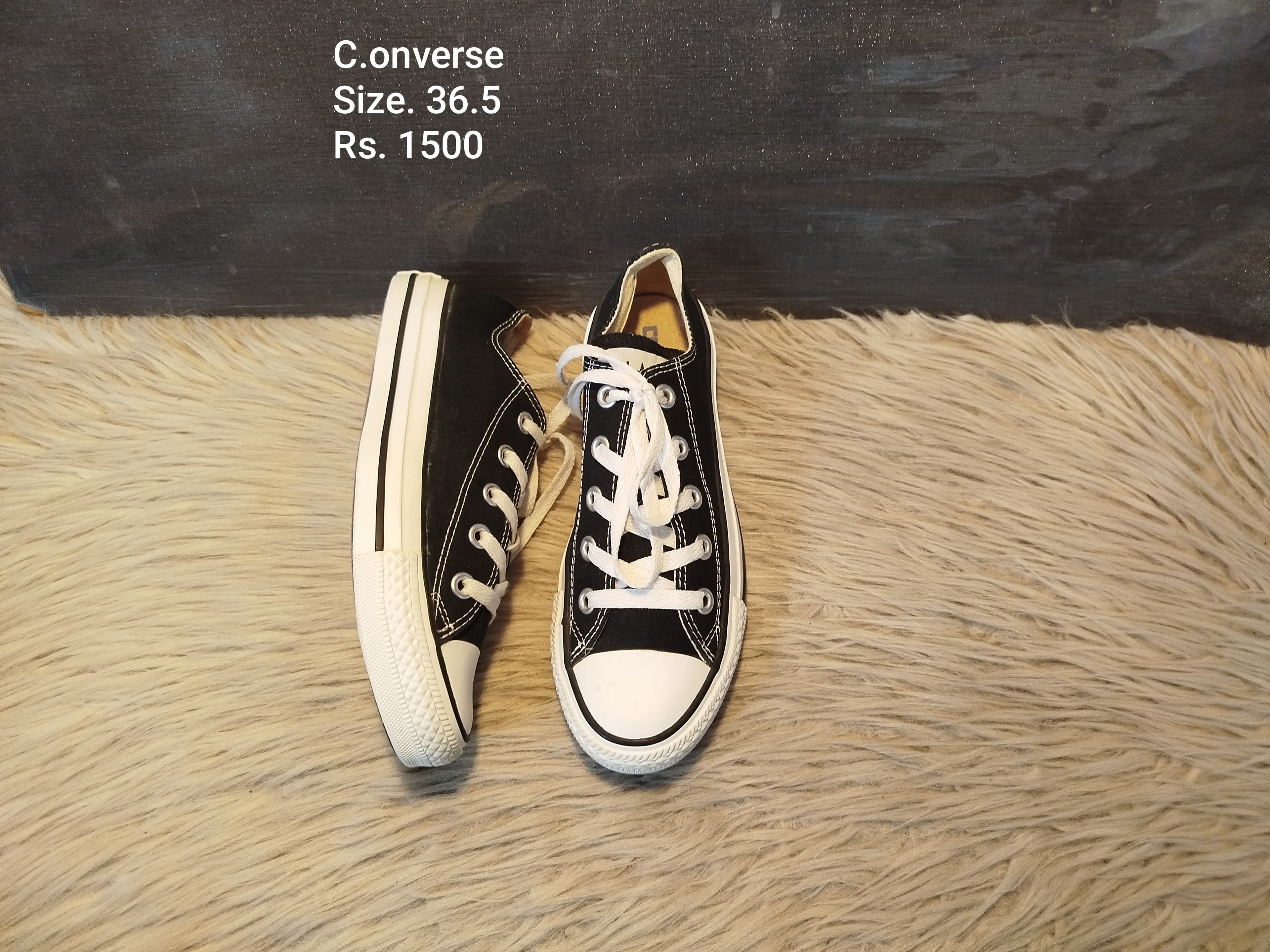 Converse 36.5