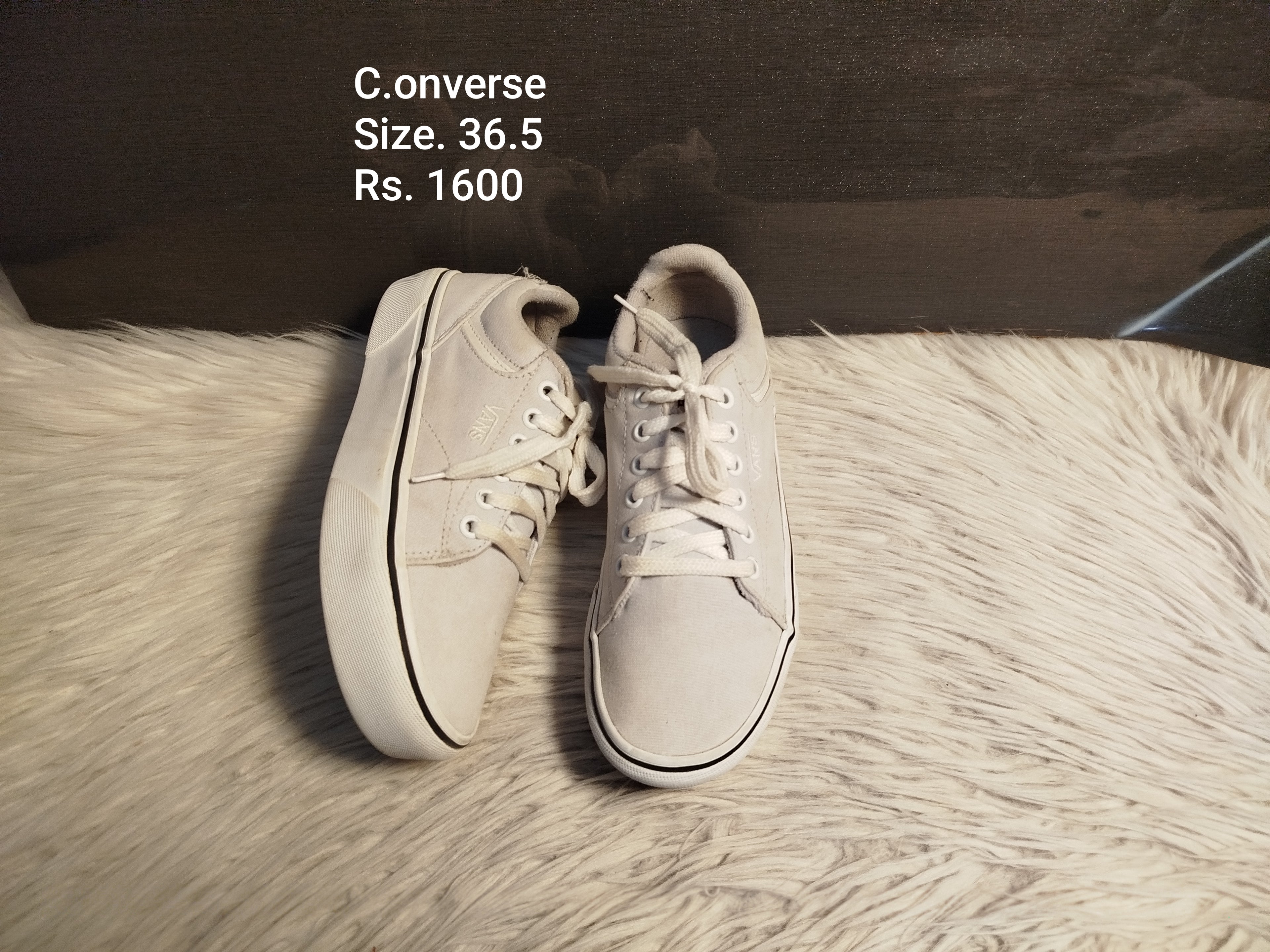 Converse 36.5