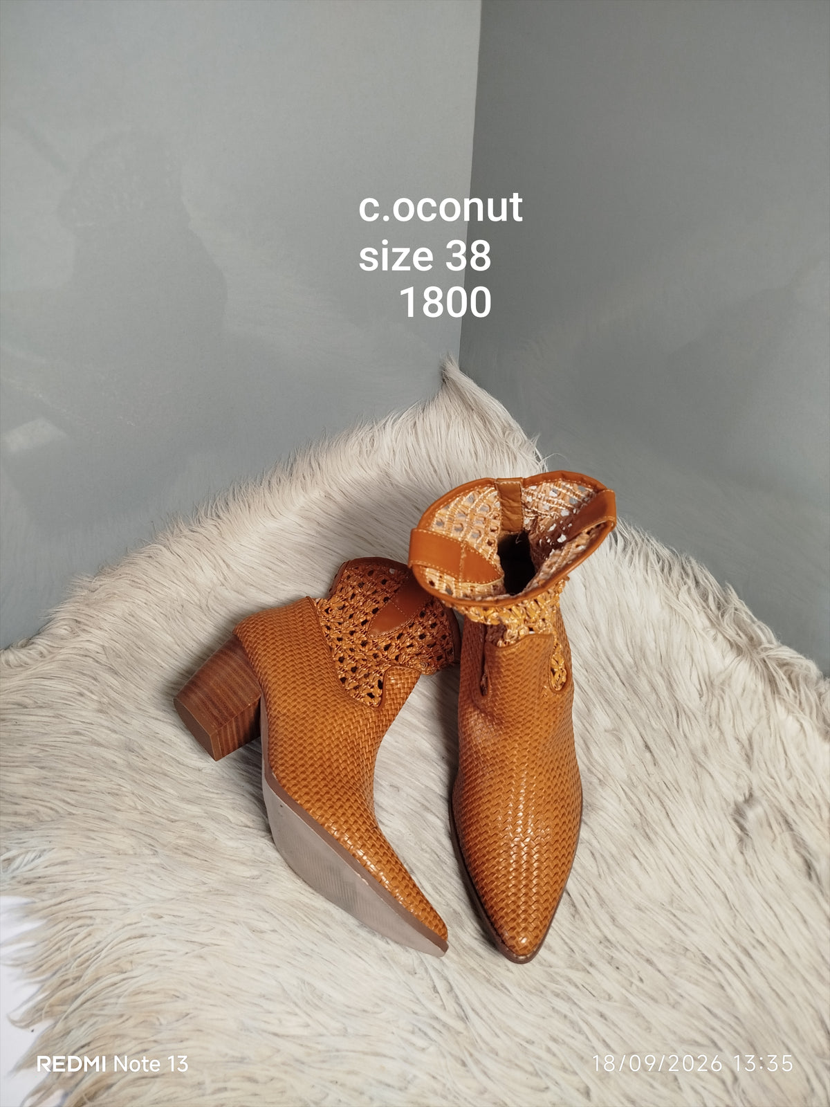 Coconut 38