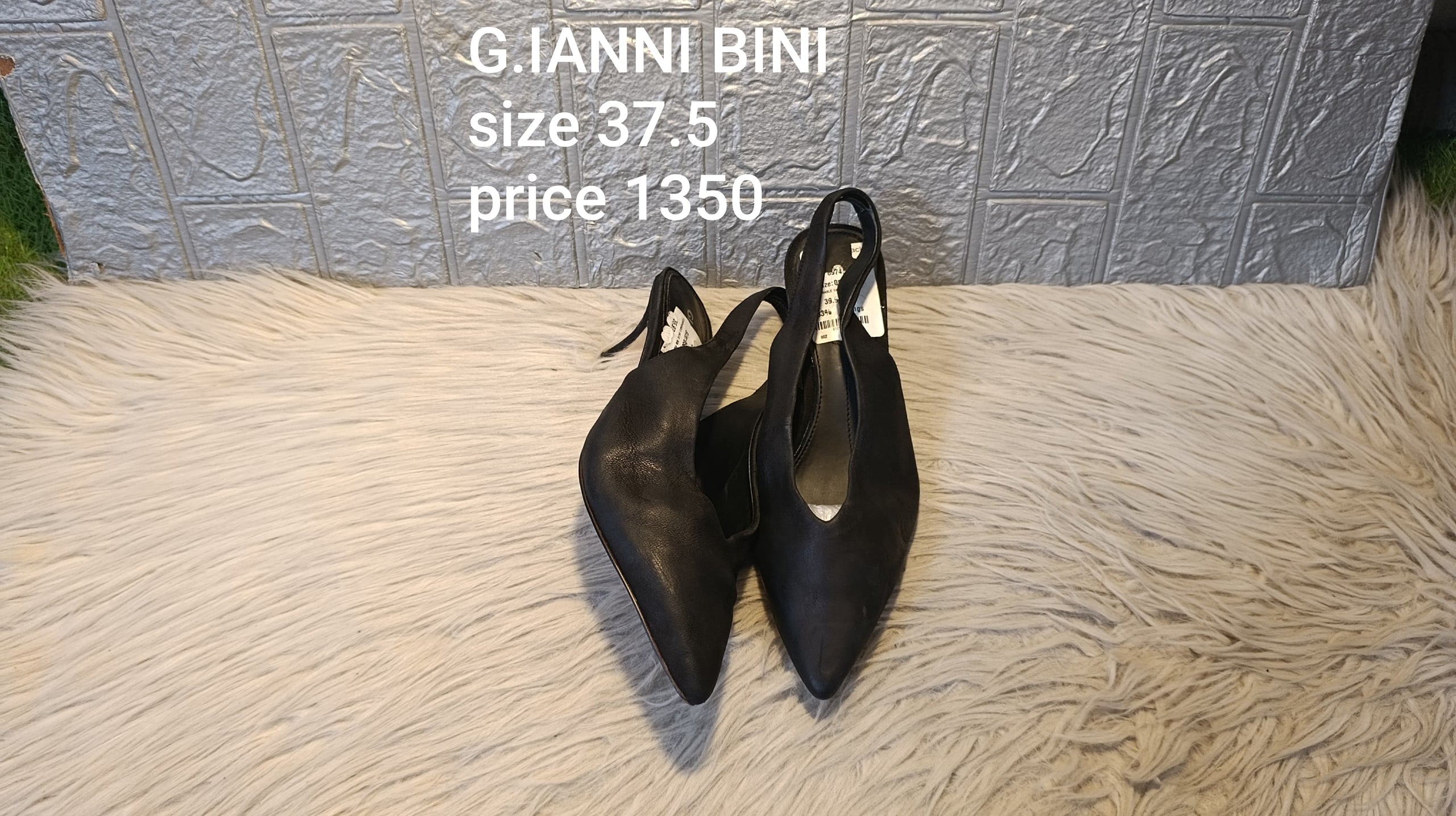 Gianna bini 37.5