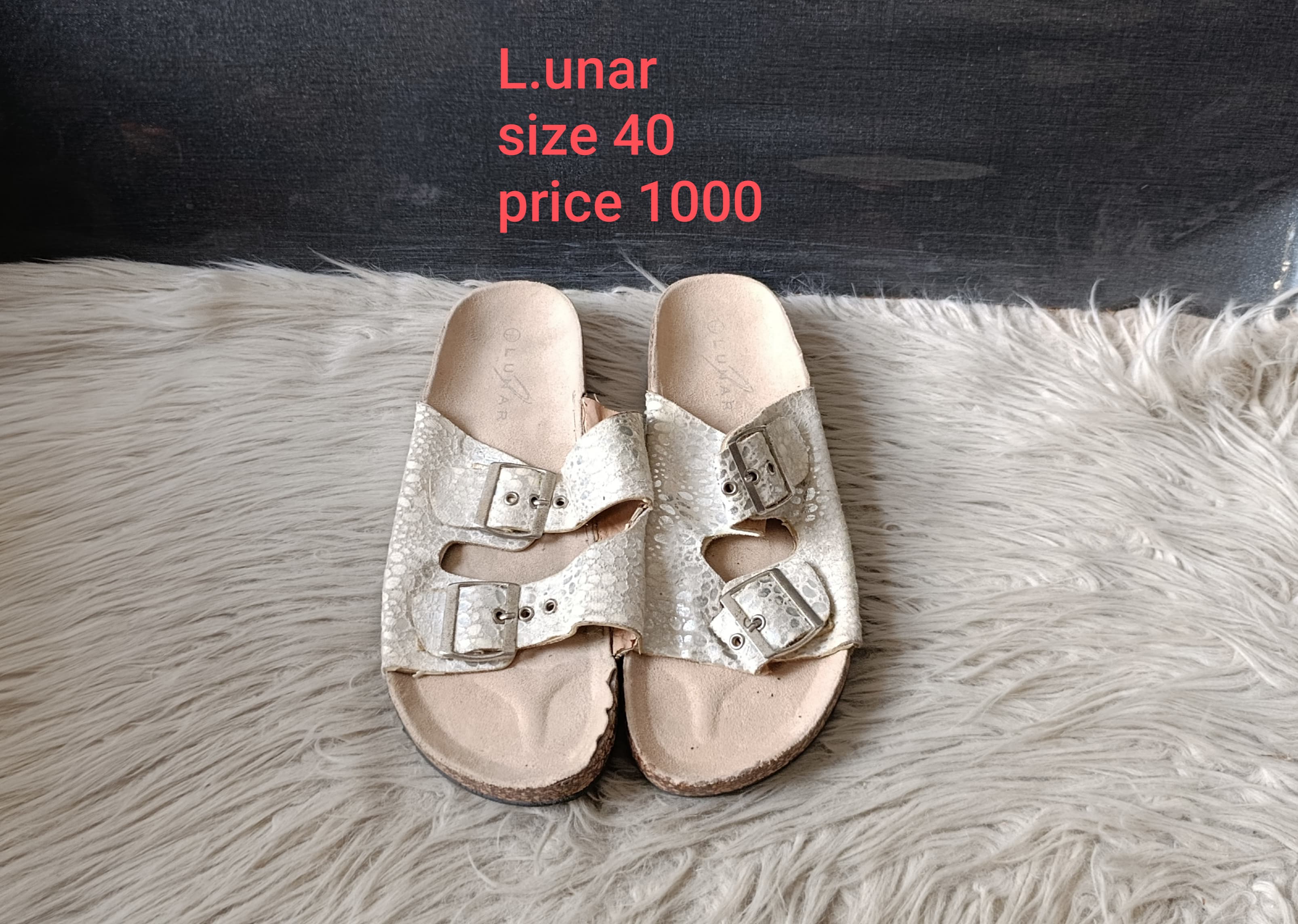 Lunar 40