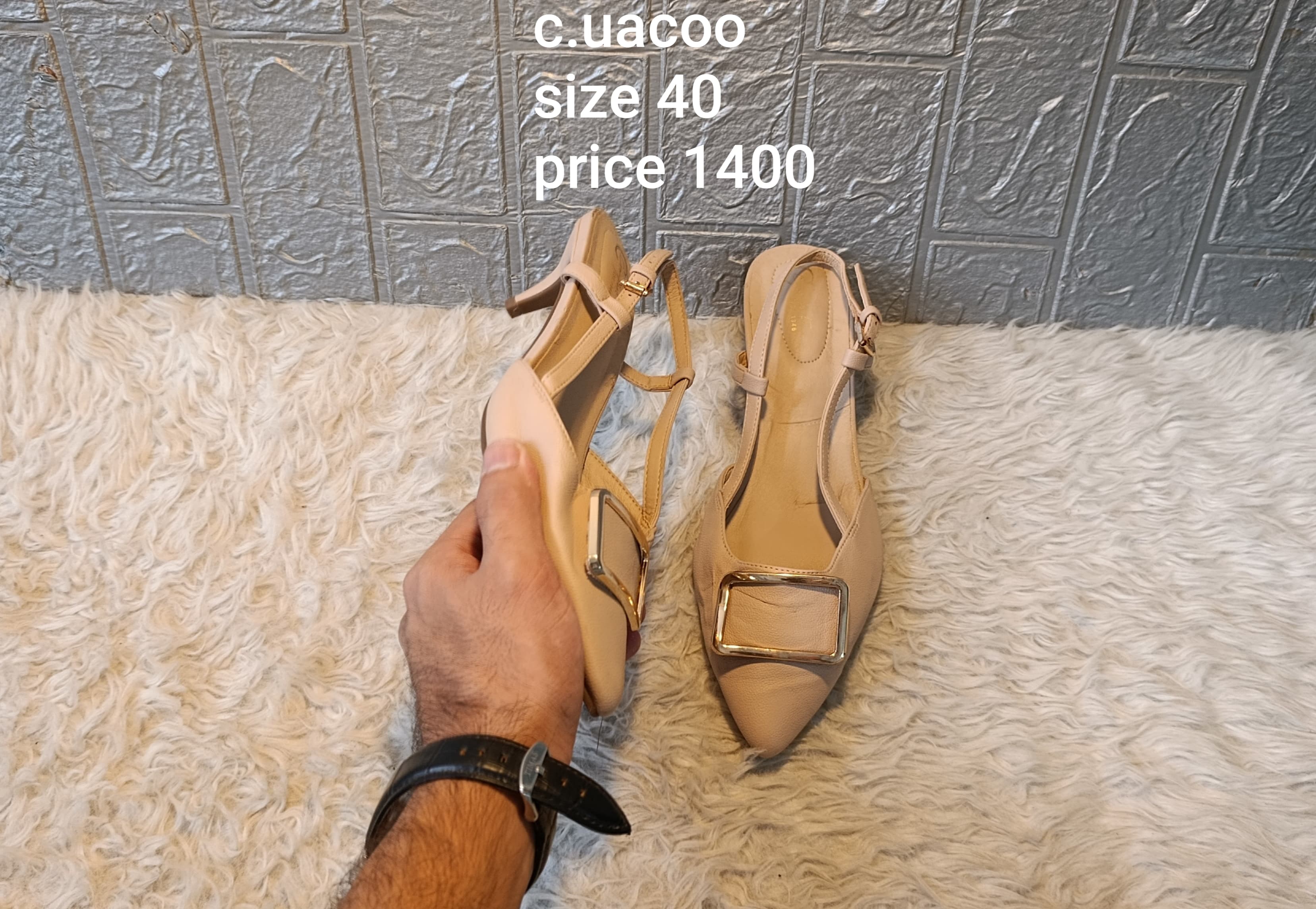 Cuacoo 40