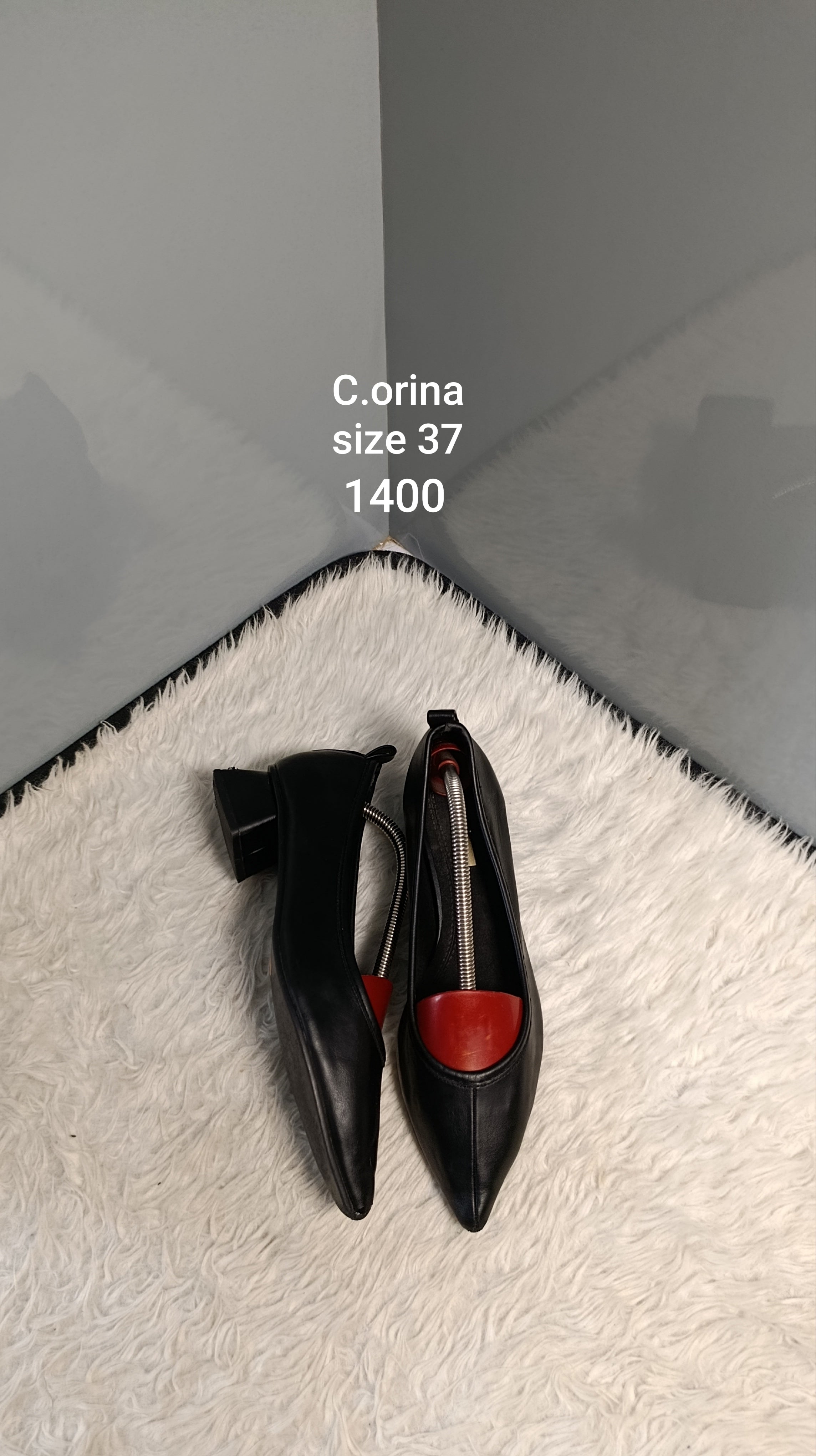 Corina 37