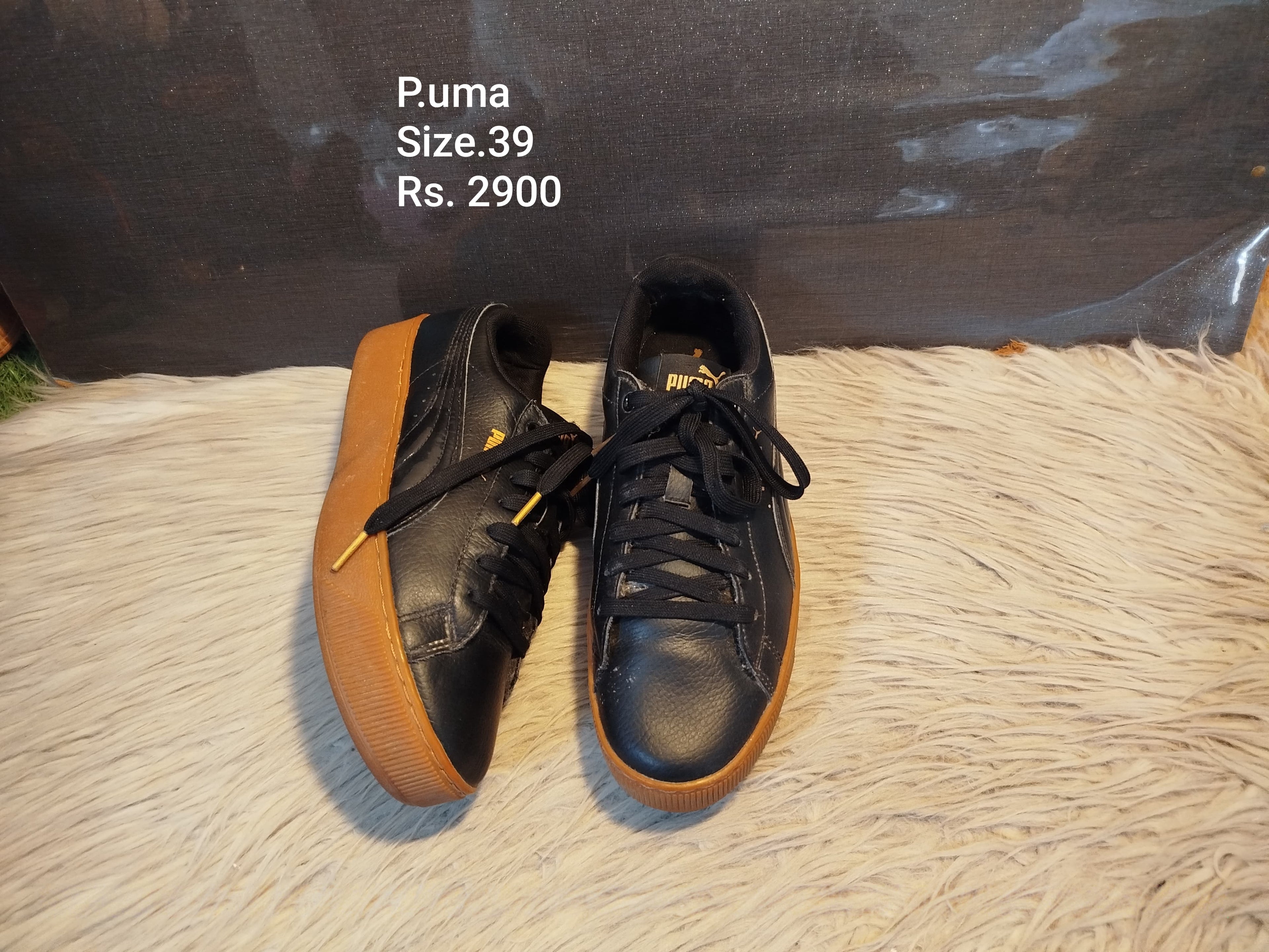 Puma 39