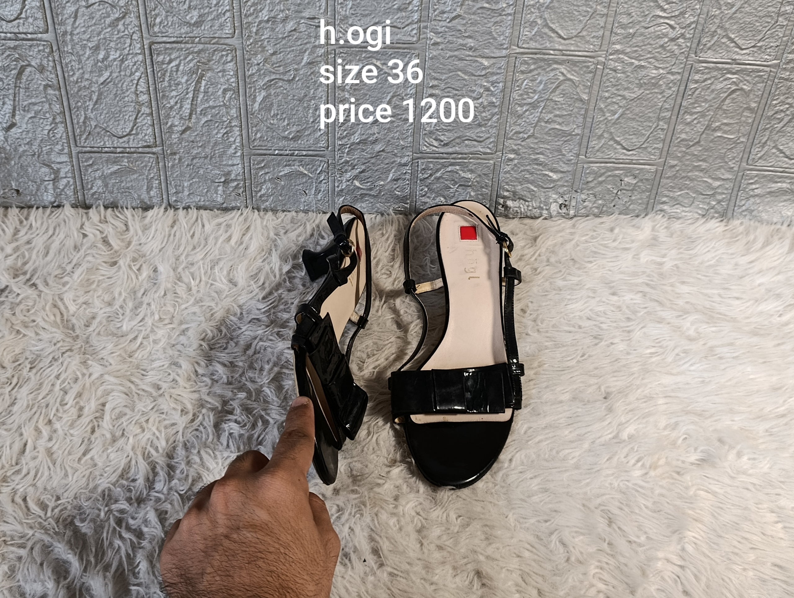 Hogi 36