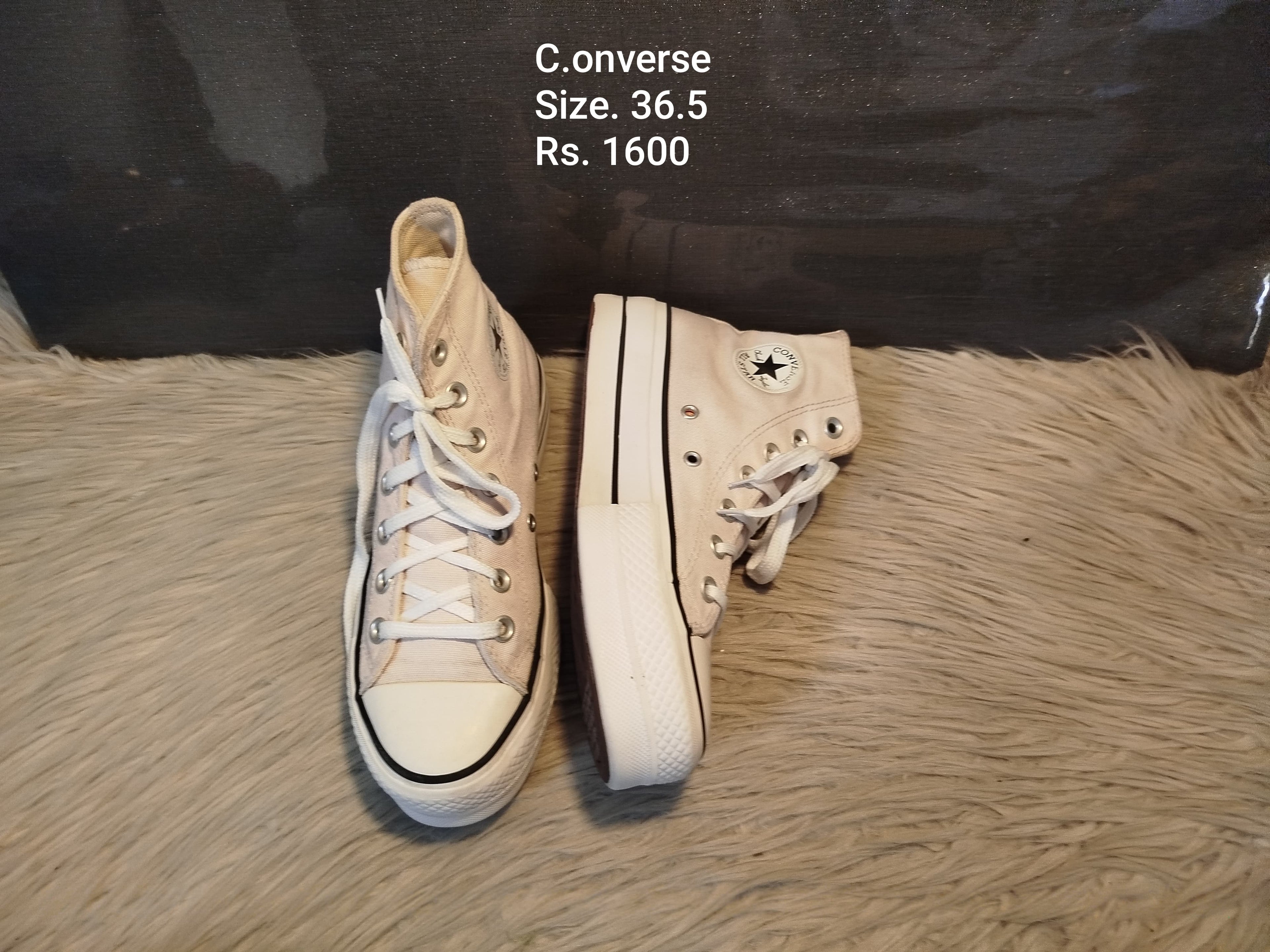 Converse 36.5