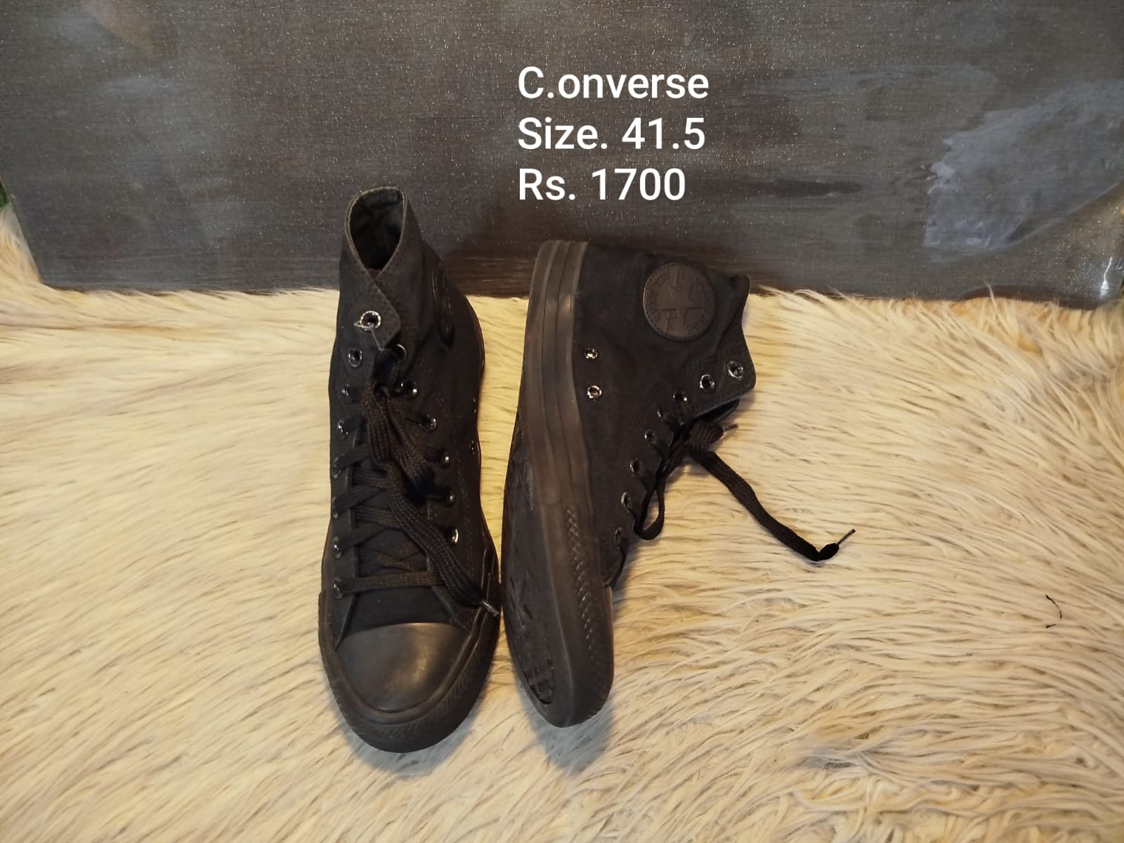 Converse 41.5
