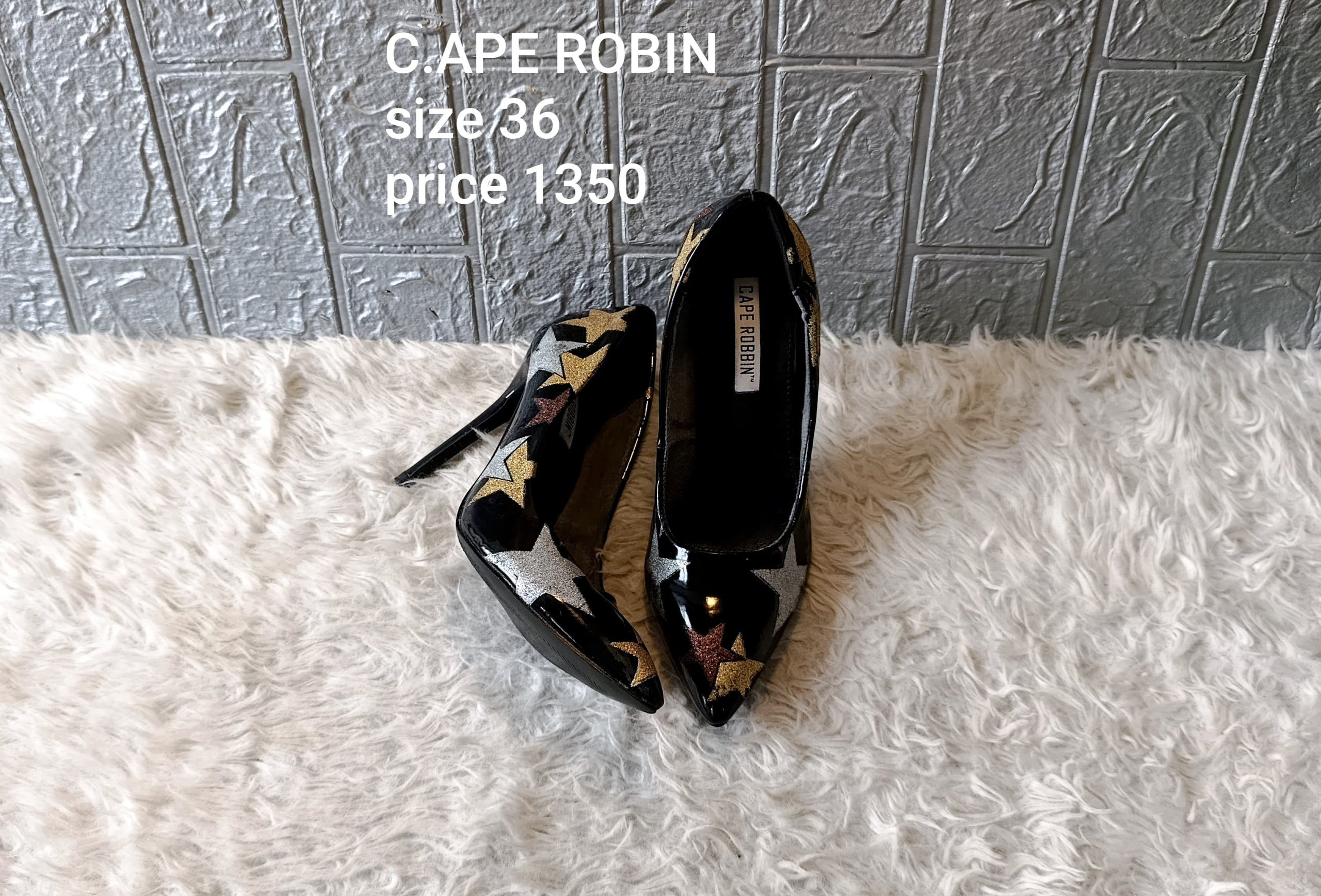 Cape robin 36