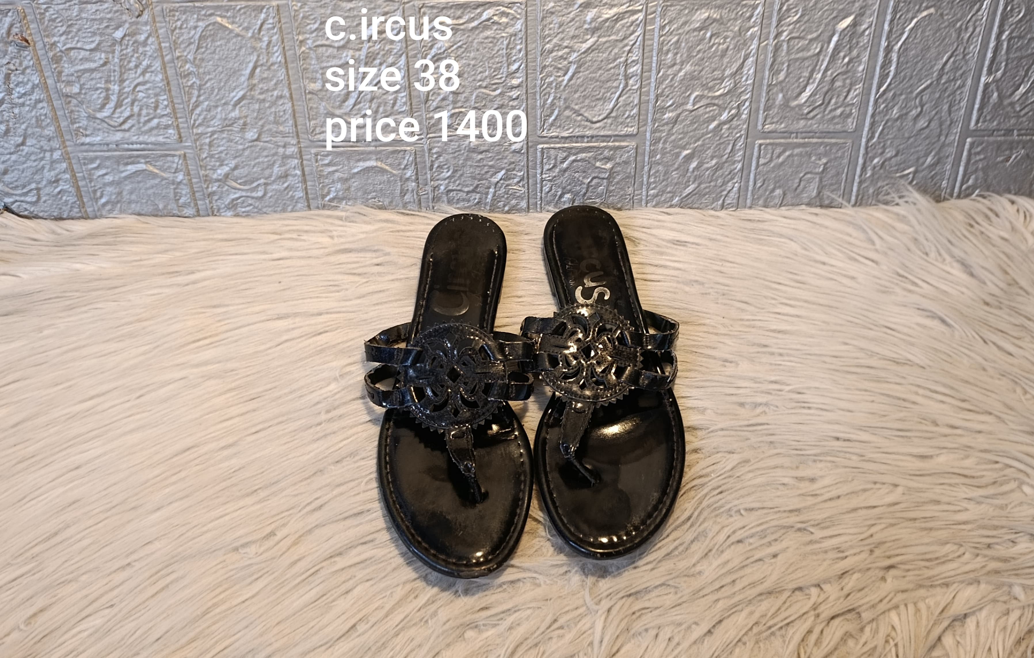 Circus 38