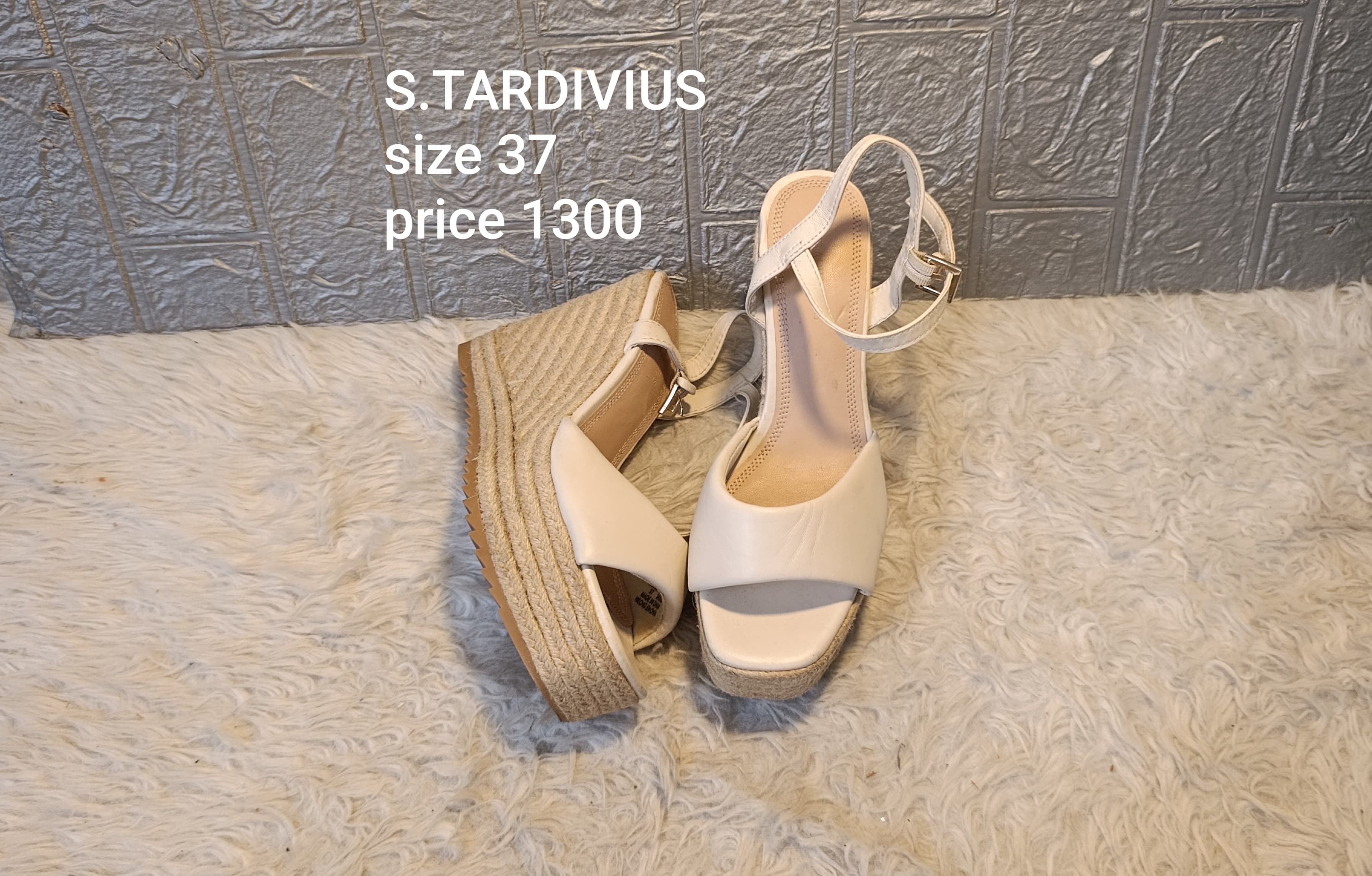 Stardivius 37