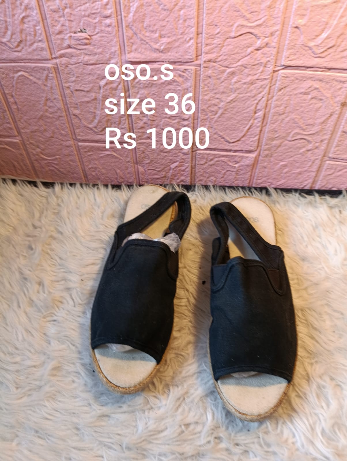 Osos 36
