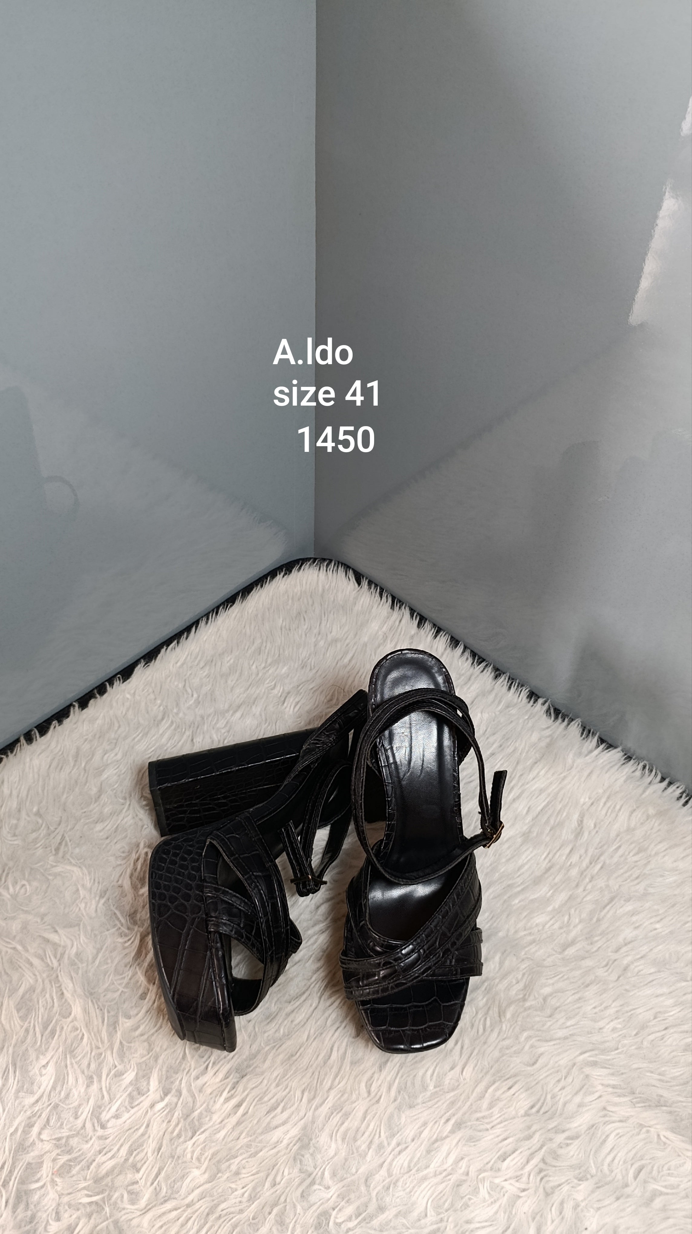 Aldo 41