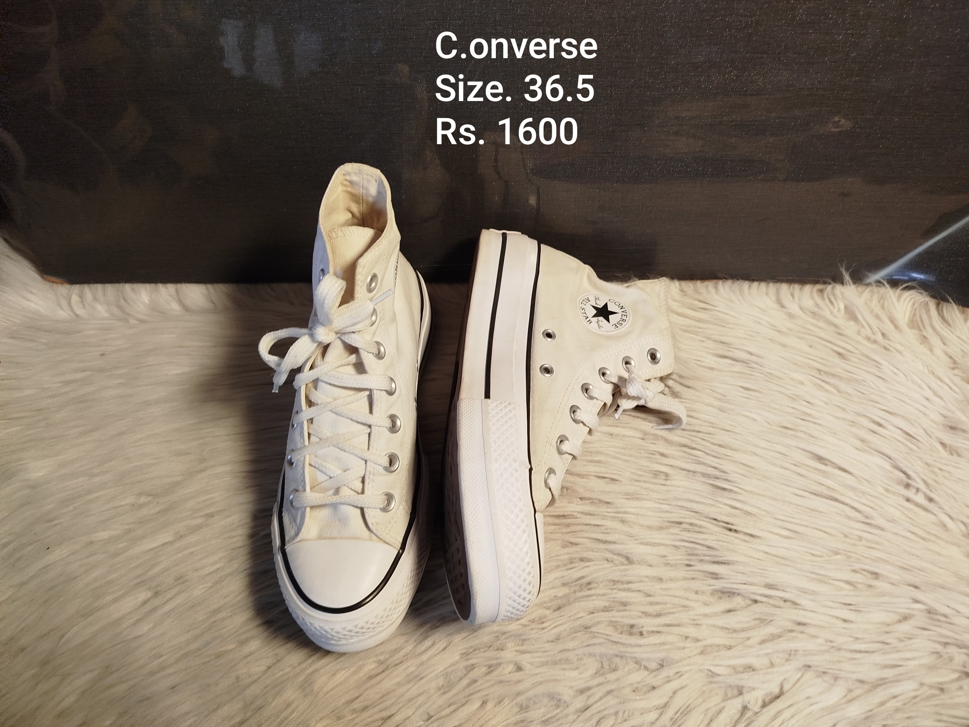 Converse 36.5