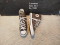 Converse 36.5