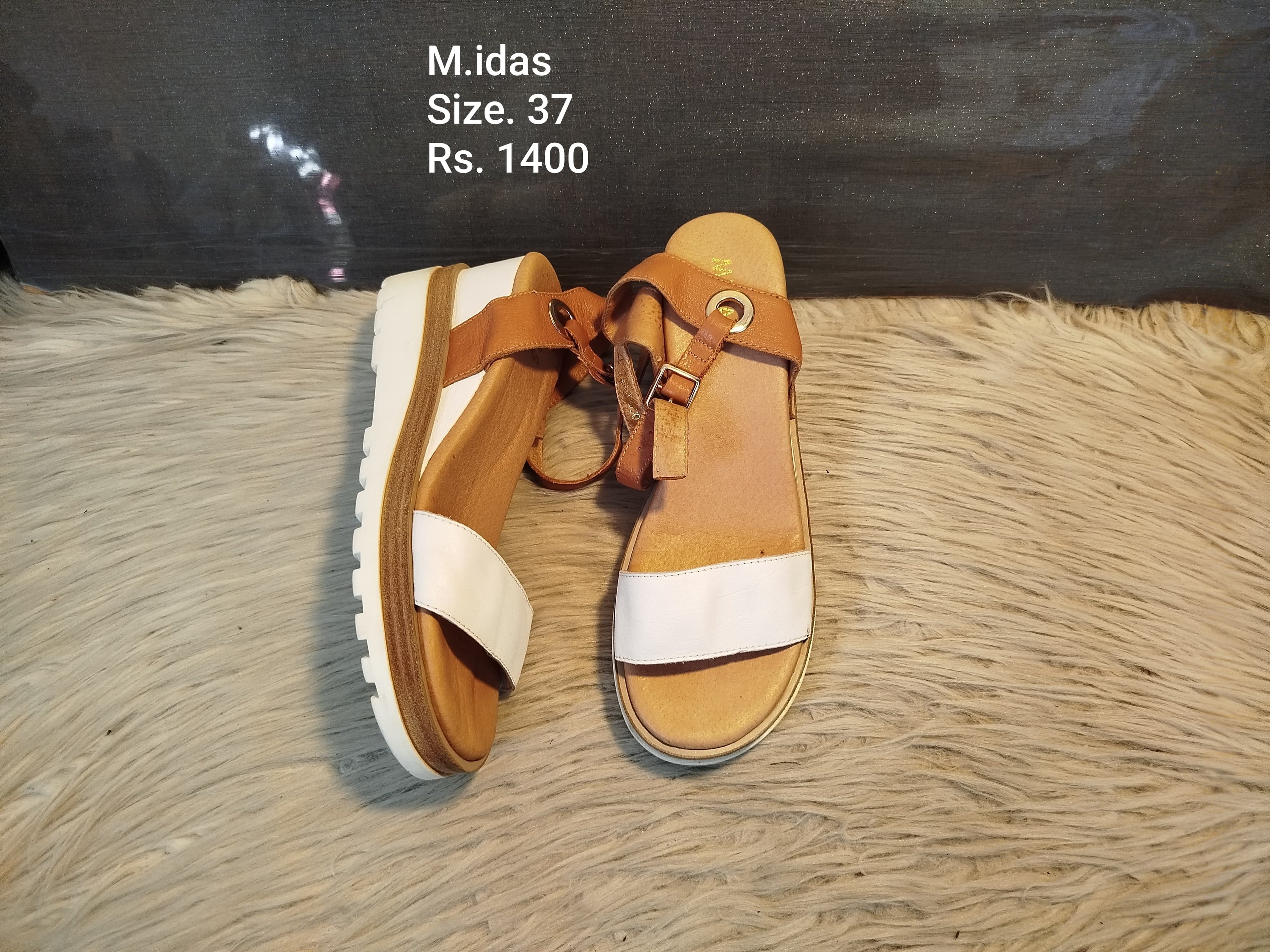 Midas 37