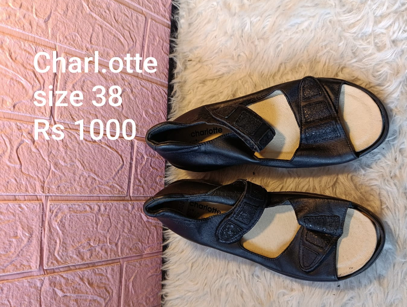 Charlotte 38