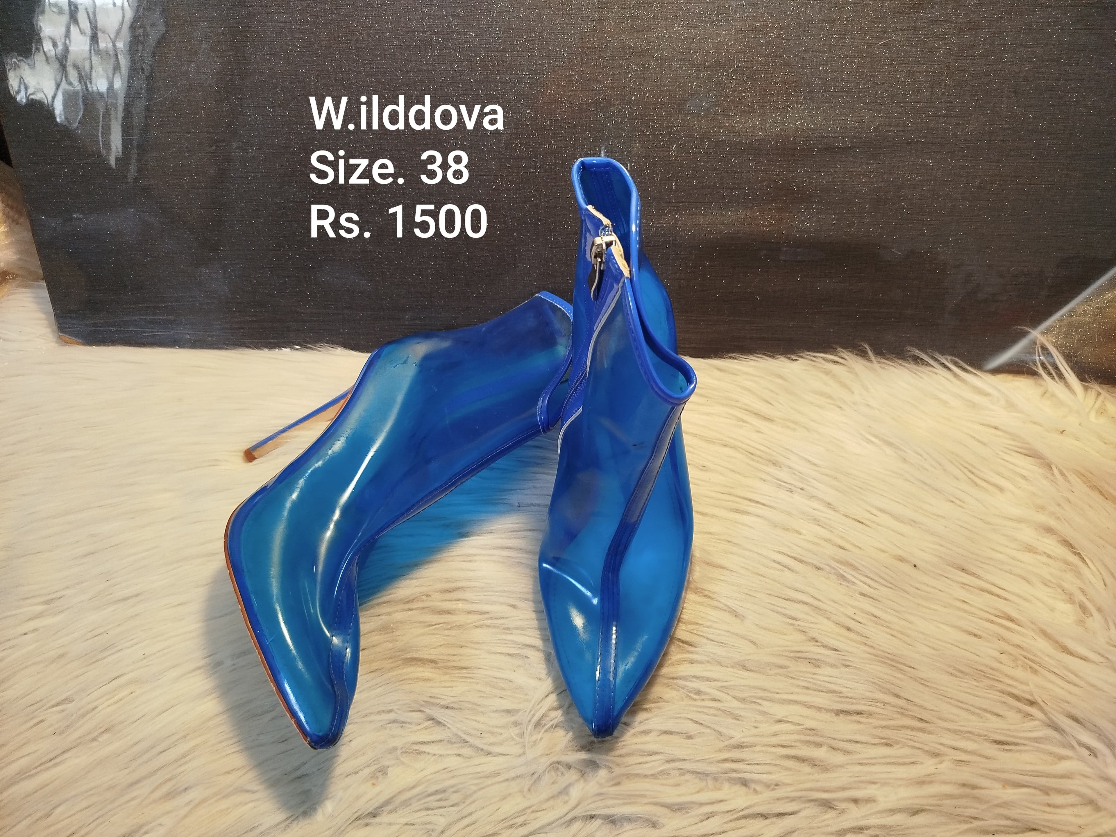 Wild dova 38