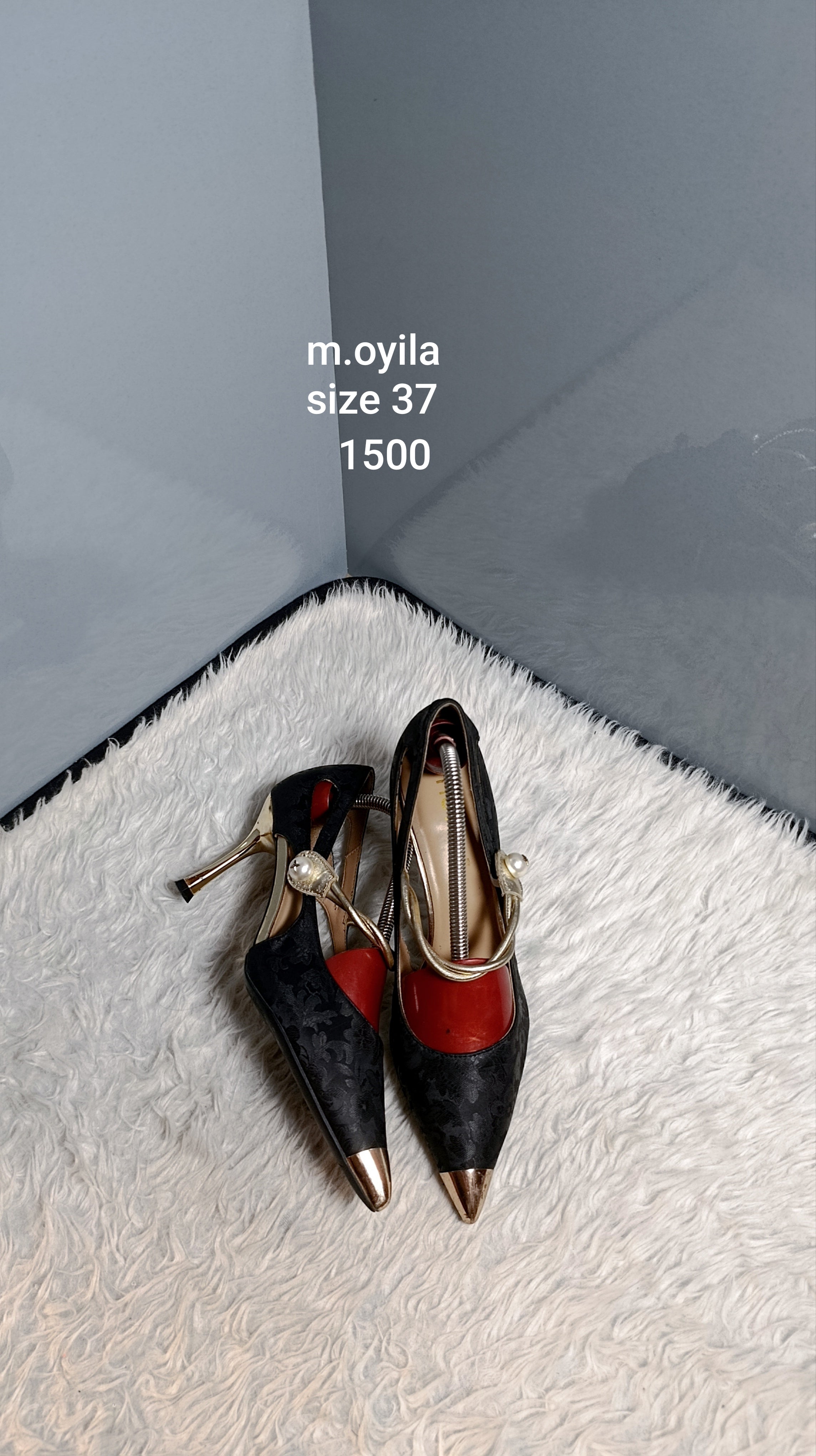 Moyila 37