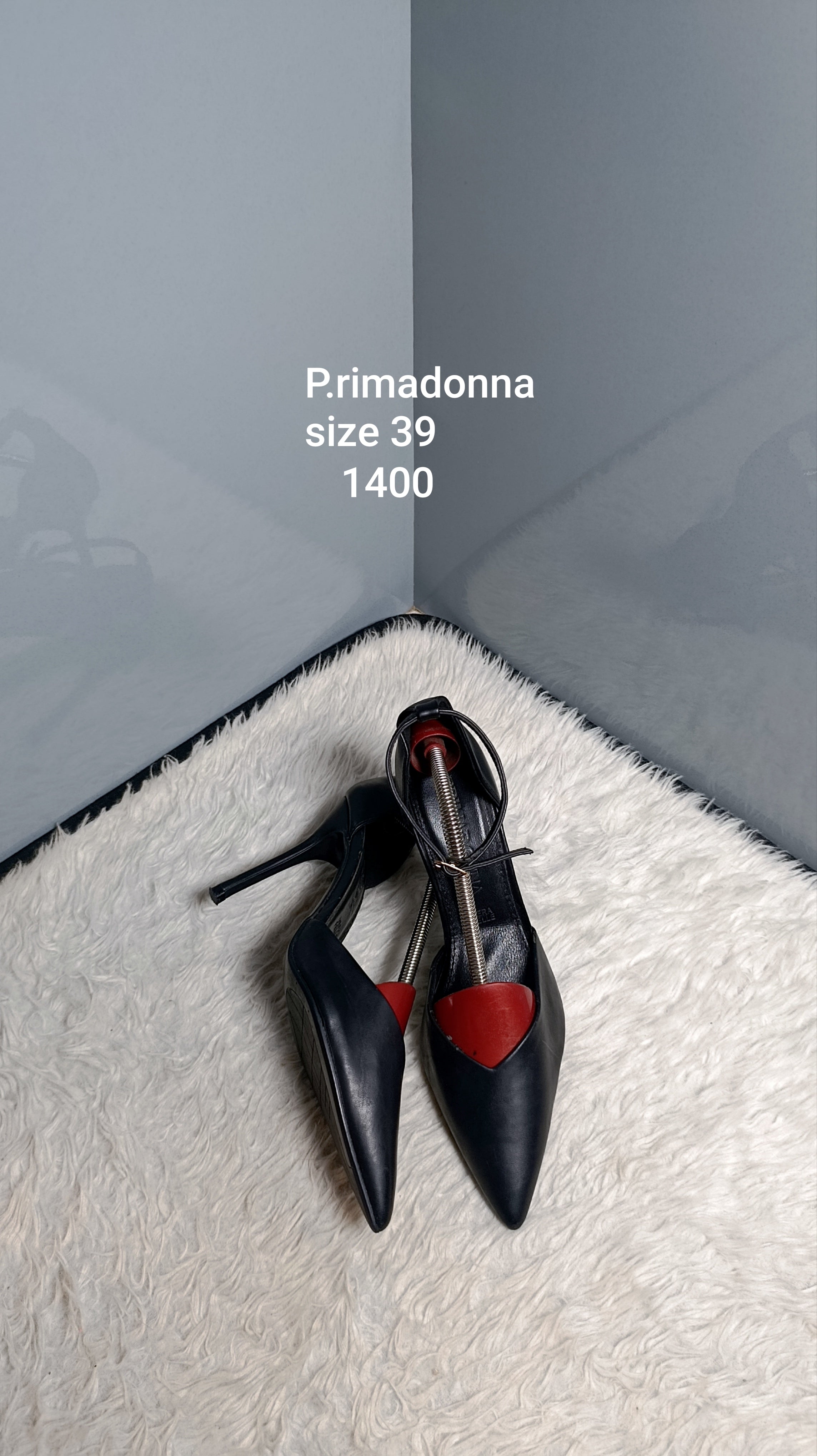 Primadonna 39