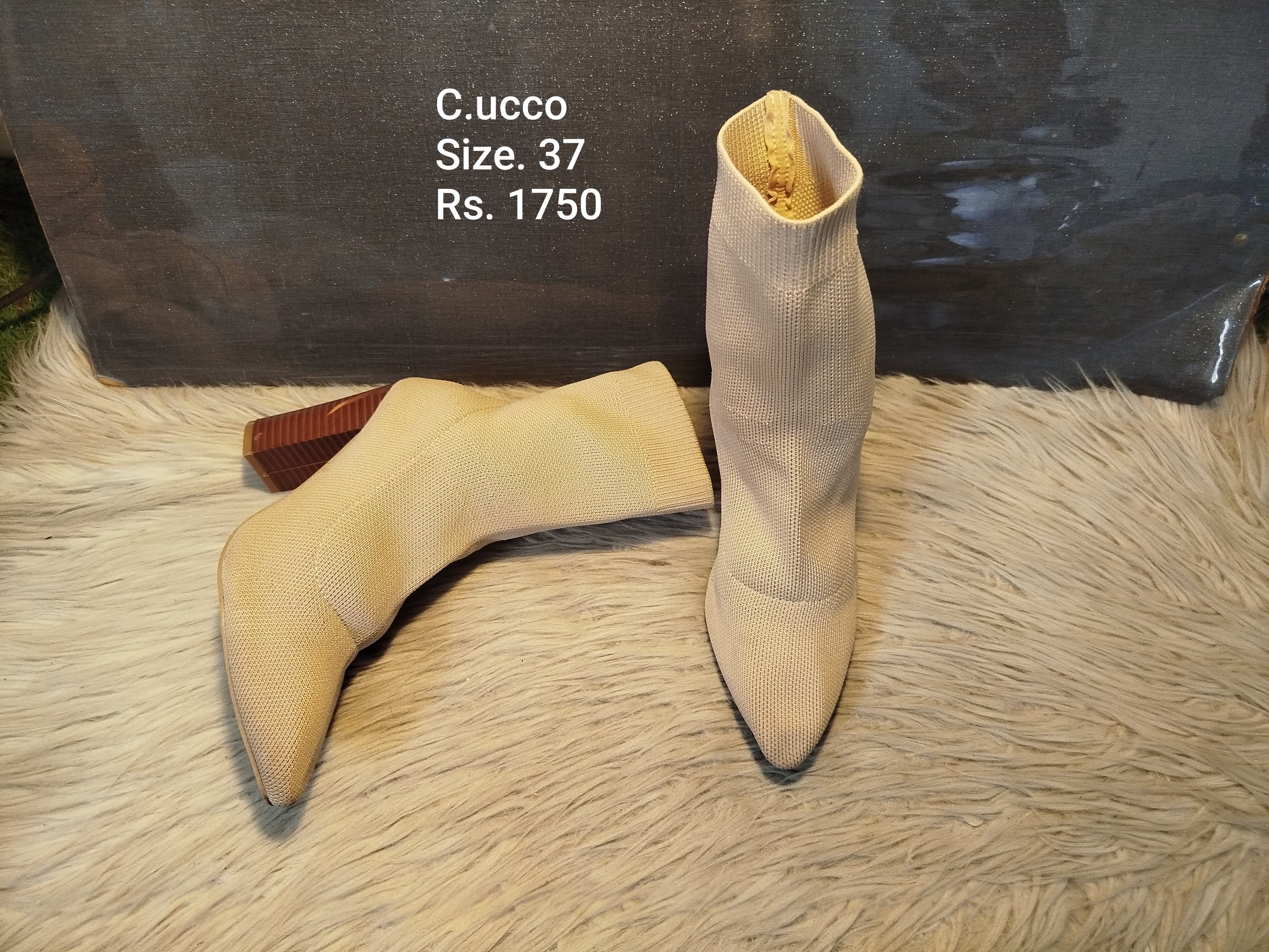 Cucco 37