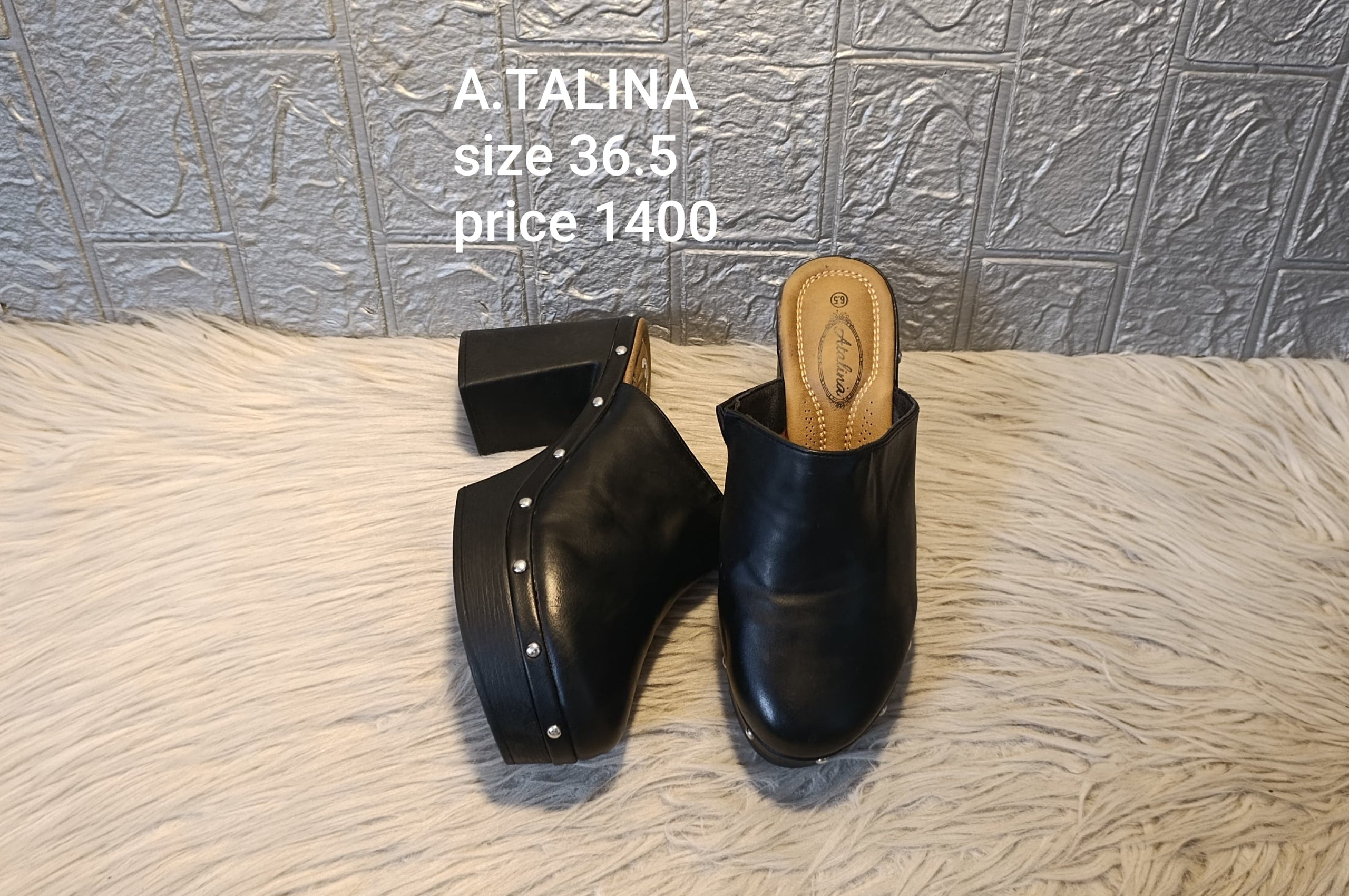 A talina 36.5