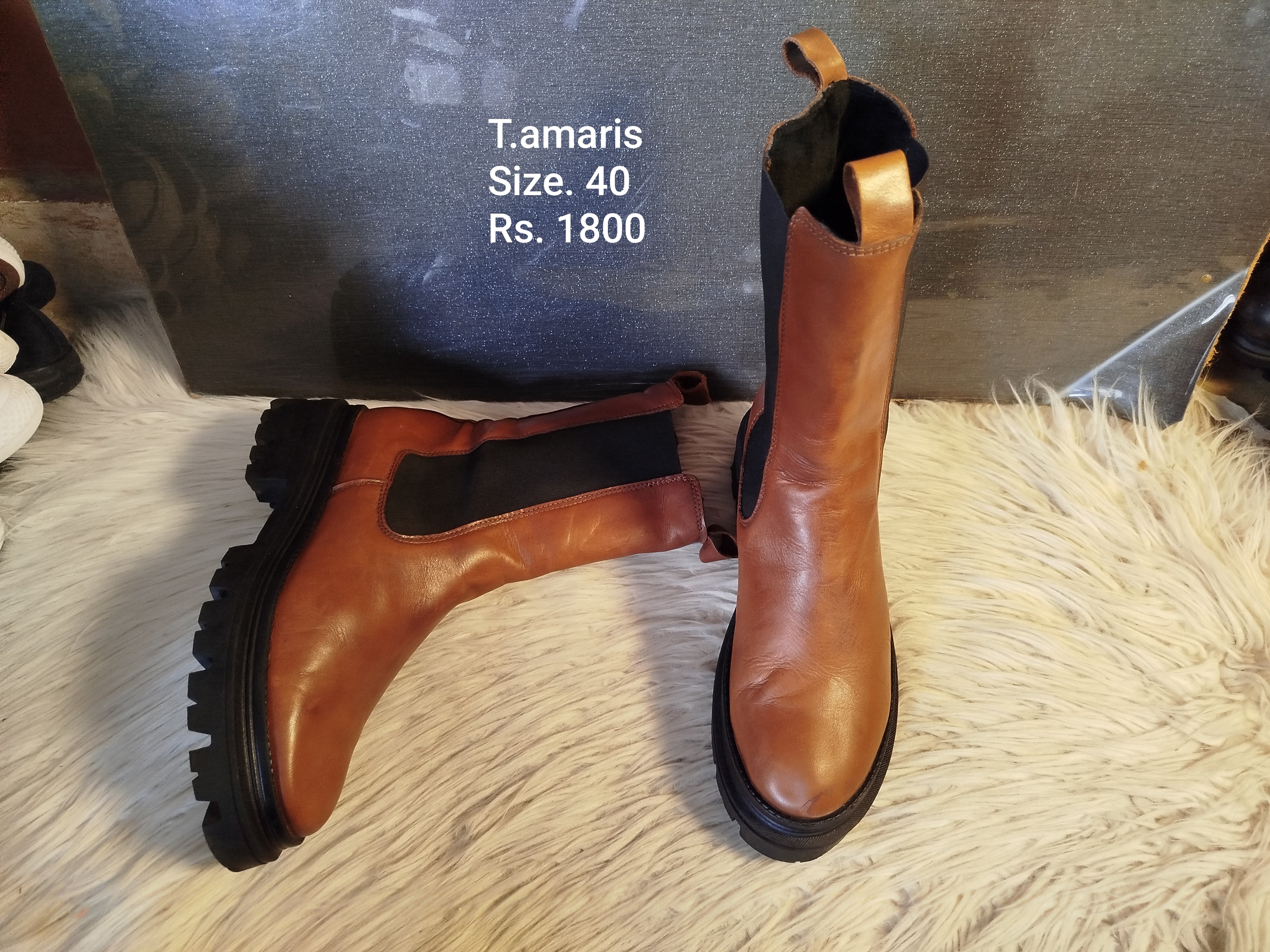 Tamaris 40