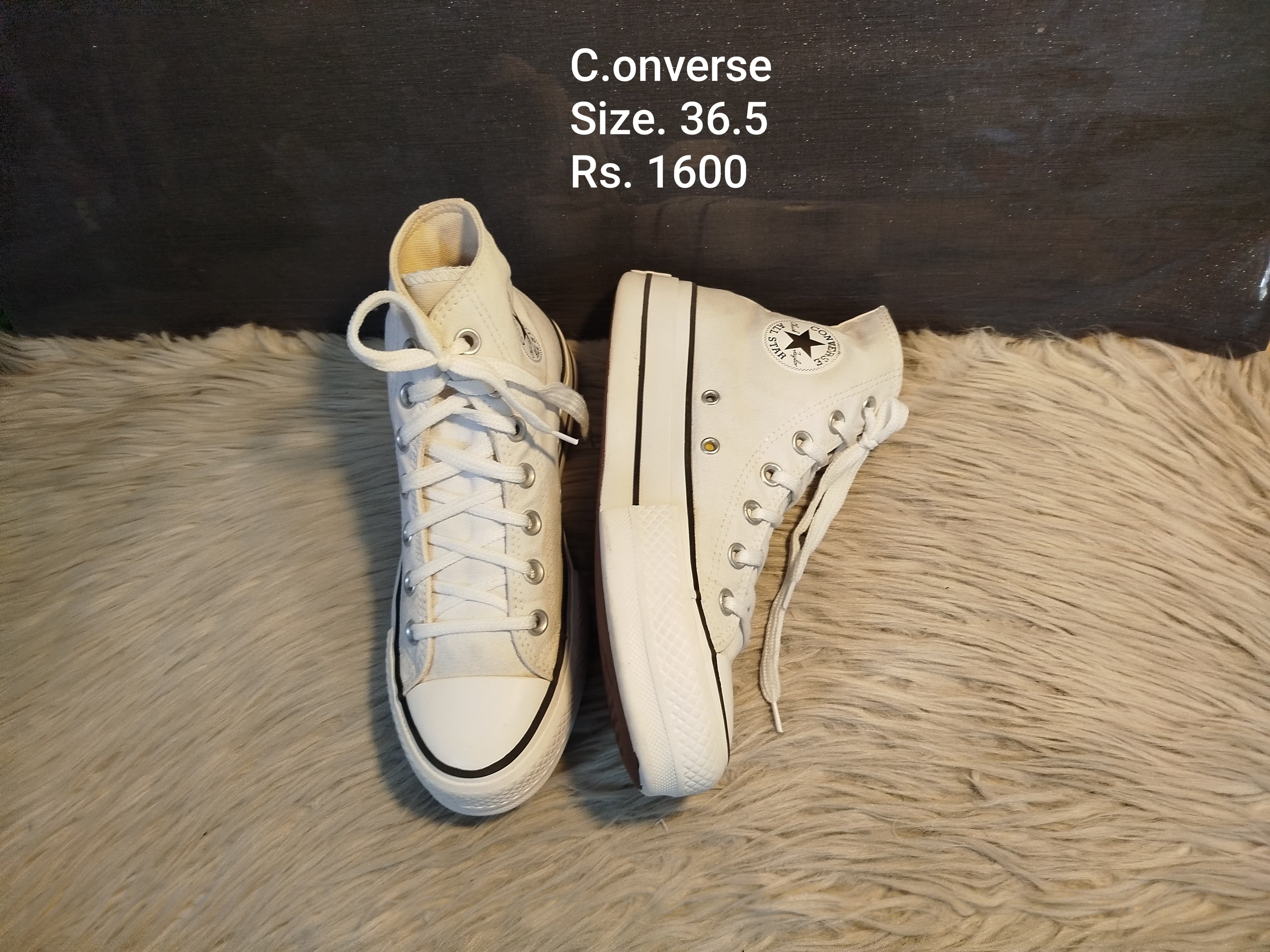Converse 36.5
