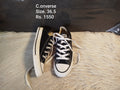 Converse 36.5