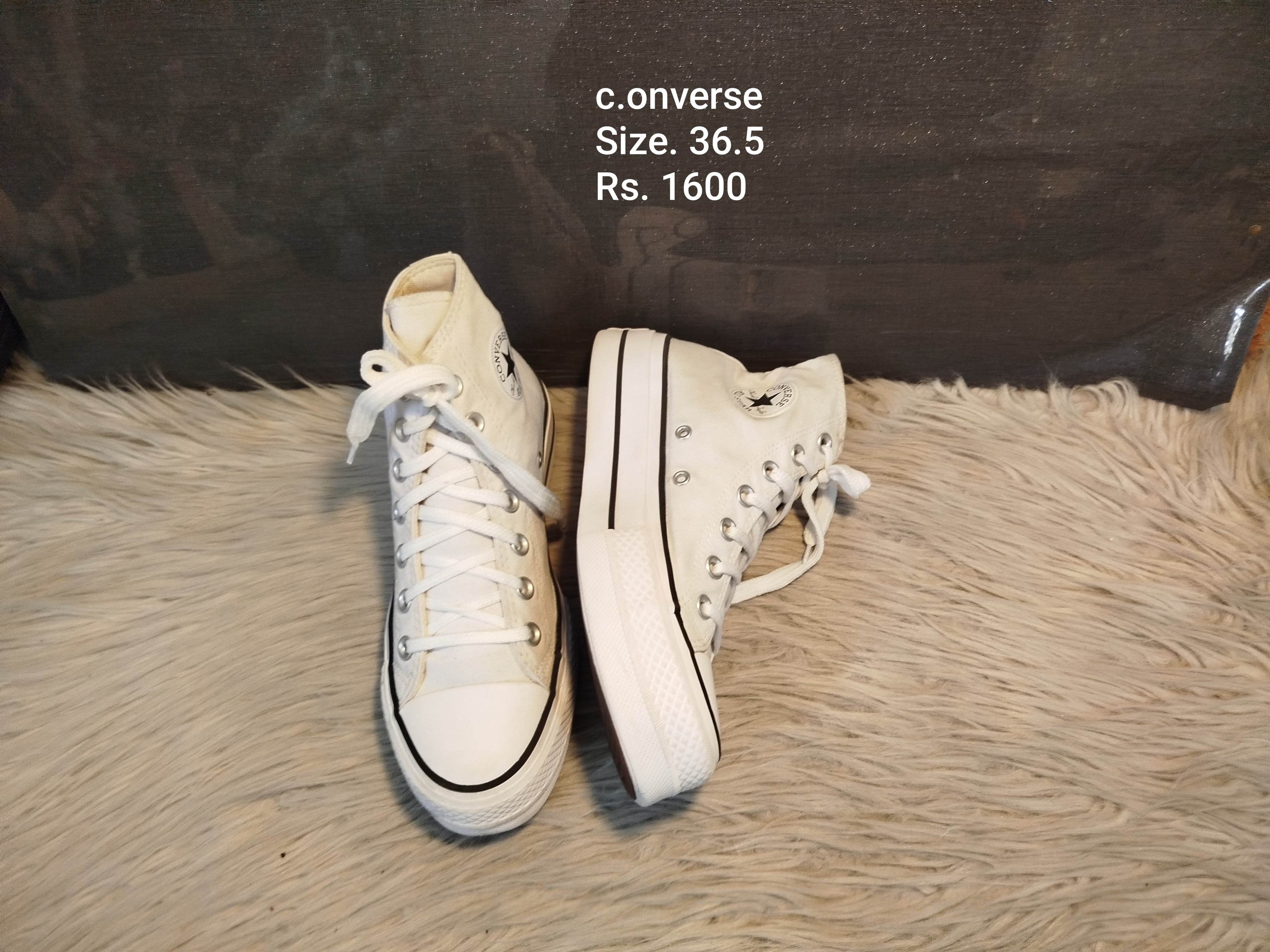 Converse 36.5
